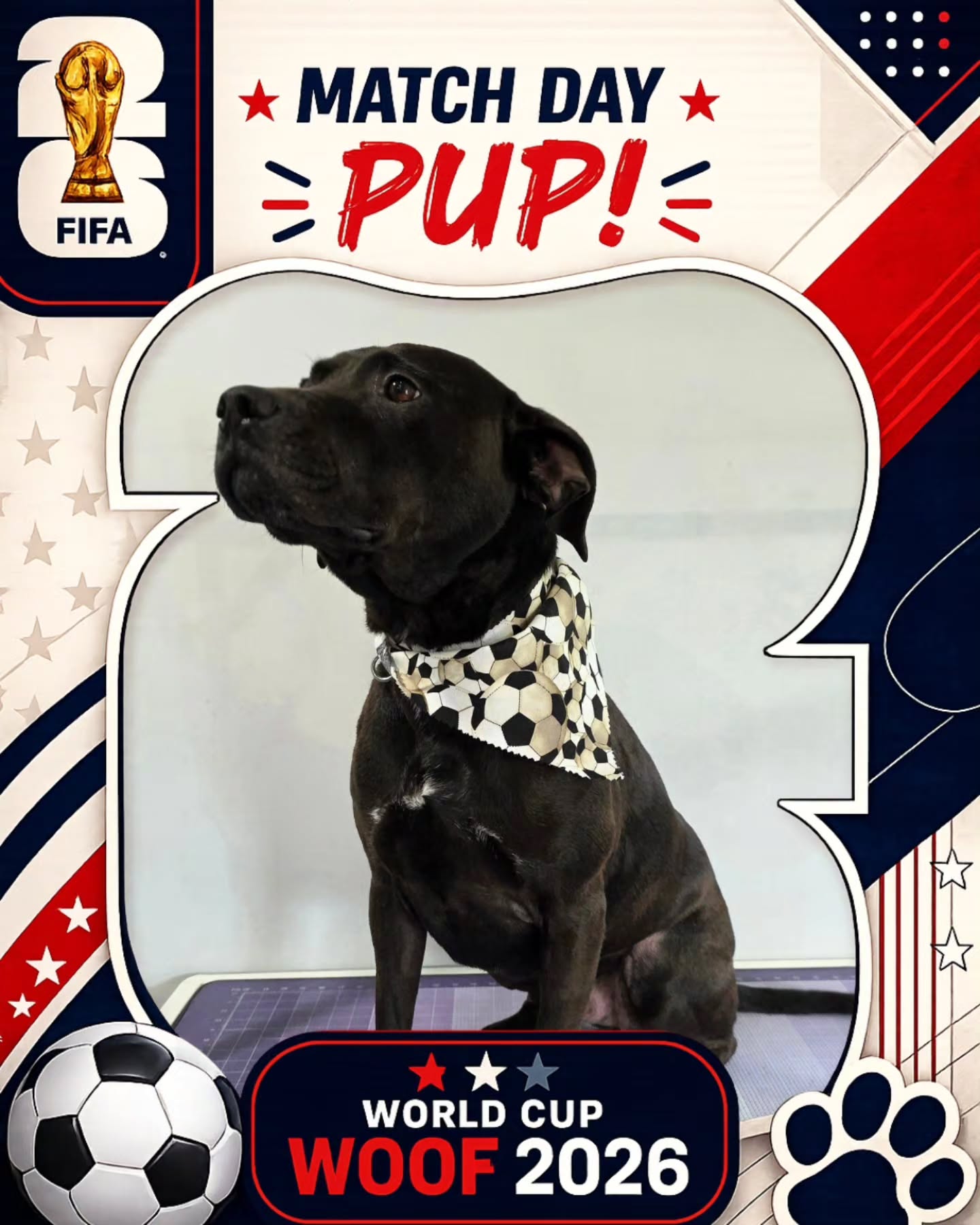 The pup's at Toby's are game ready! 🔥⚽️🏟 Who do you think is going to win the world cup?
#doglover #worldcup #doggrooming