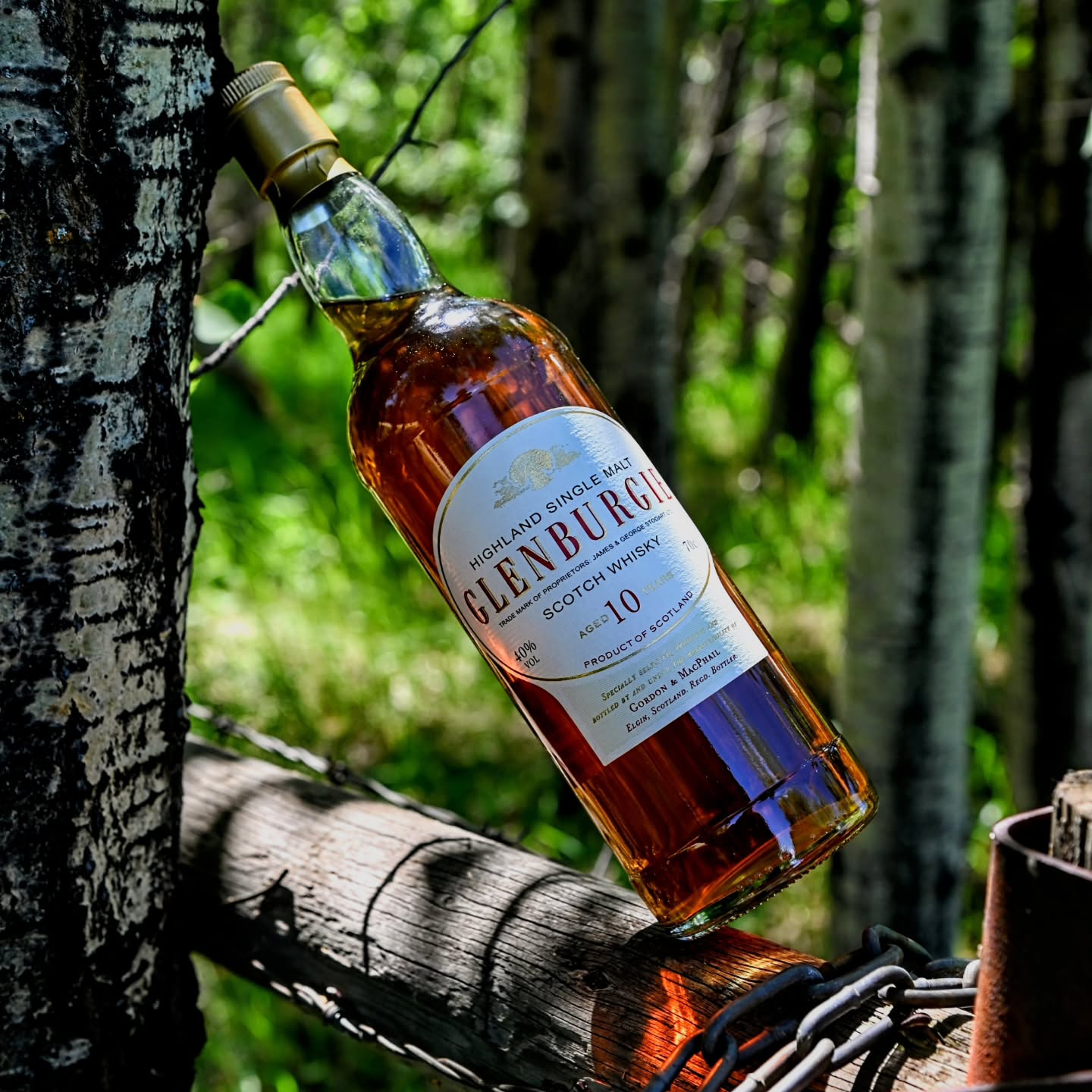 There are some bottles that you come across throughout your journey that take on a story all their own. At first glance they may not seem like anything all that special, or people looking from the outside, in, may seem confused by it all, but when you are one of the lucky ones, these one off bottles become almost legendary.
This bottle right here is one of those rare ones that happened to reach those lofty heights for me and a few of my friends.
Coming out of the time when the world got tossed turned upside down, I randomly popped into one of those nondescript, hole in the wall, ma and pa liquor stores in my town, that I had bene in before but never really took the time to properly look around. Then I saw it, a wine rack type display that had dozens of this bottle all lying on their side near the front counter. That alone had me worried, but then I saw the big neon star shaped "Sale" sticker on the shelf. 27 bucks!!!
So I took the chance and grabbed it. It took me a few days to pop the cork that barely managed to stay intact, but then. First sip....wow. a lightly sherry casked single malt from a distillery that up to that point I was unfamiliar with. A quick message to a friend or two and explained the story and they said to go grab a handful of them. Once those initial 6 were shared around a decision was made....go get them all. 46 bottles in total, and they tried to raise the price to 34 bucks a piece. But alas, threatening to leave the store without any made them seal the deal.
I finally was able to snag one more from an auction recently. Really cheap just not as cheap as the 27 bucks lol
.
.
.
.
.
#scotch #chance #lucky #glenburgie #gordonandmacphail