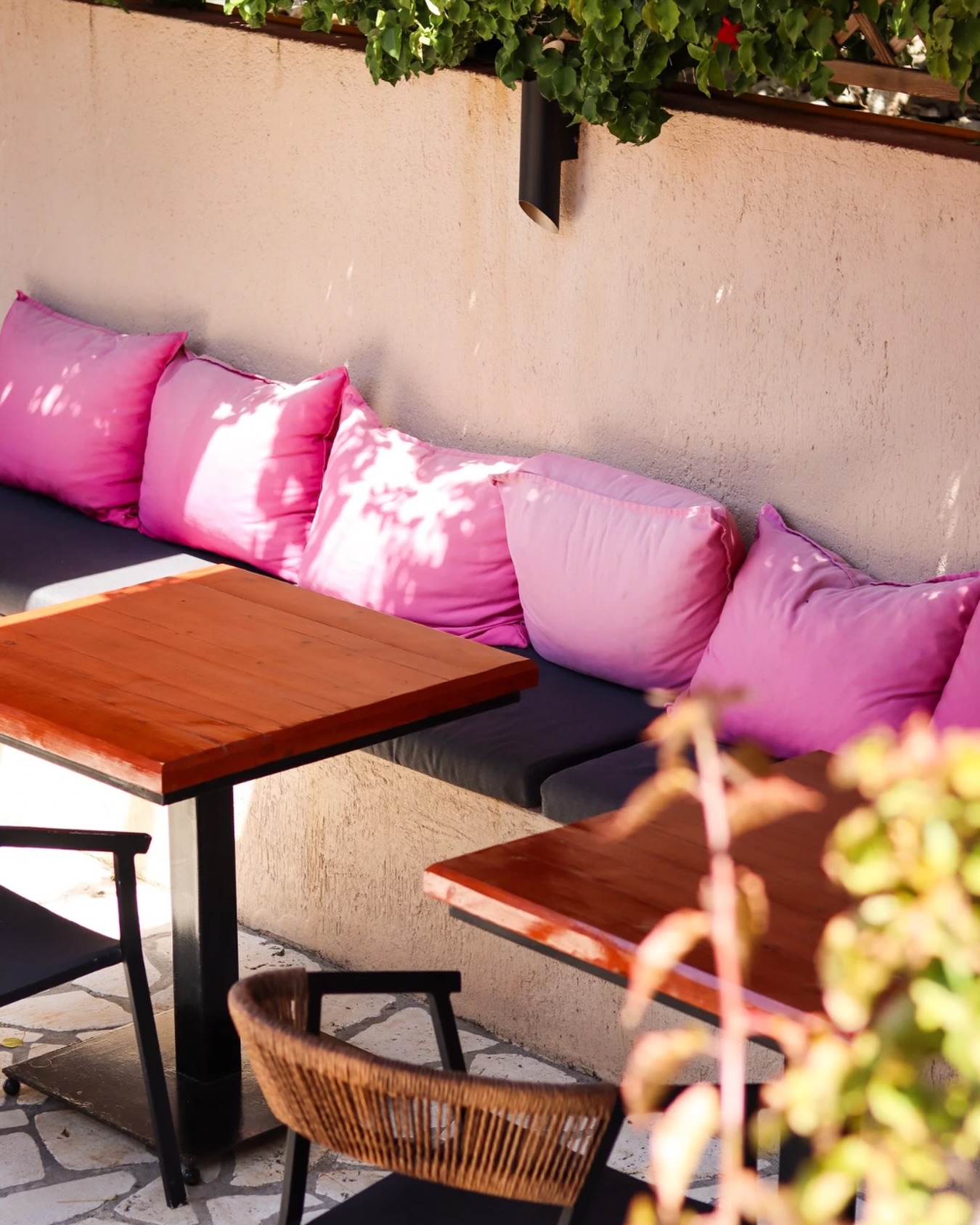 Sun-drenched corners, vibrant details, and the perfect spot to unwind. 🌿
Settle in, sip slowly, and let the summer moments unfold at 3 Wise Monkeys.🙈🌸
#3wisemonkeys #restaurant #bar #assos #kefalonia