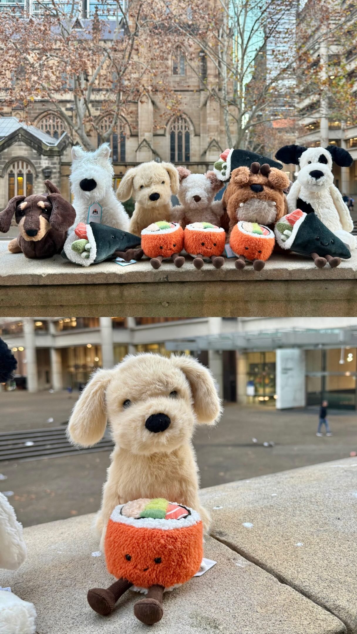 🐶 NEW JELLYCAT ARRIVALS HAVE LANDED at Mooii! 🐾
Say hello to some of the cutest pups around 🤍
Featuring
🐾 Munro Scottie Dog
🐾 Otto Sausage Dog Bag
🐾 Golden Puppy
🐾 Bashful Black & Cream Puppy
🐾 Little Pup
🐾 Derreck Dog
And more cuddly canine friends!
Whether you’re a dog lover, a Jellycat collector, or searching for the perfect gift, these adorable pups are ready to find their forever homes. 🏡✨
Which pup are you taking home? 👀🐶
🛍️ Visit Mooii in-store or shop online before they run away!
@mooii_aus 🐶🐾
#Jellycat #JellycatAustralia #JellycatDog #MunroScottieDog #OttoSausageDog