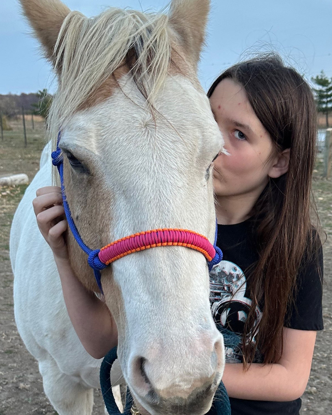 Many students, families, veterans, and volunteers find hands‑on growth at Hosanna Horse Haven through structured equine activities that teach leadership, responsibility, and empathy. You’ll see measurable progress in simple, observable ways: following a multi‑step grooming routine shows responsibility; leading a horse through a pattern builds leadership; practicing calm cues during handling demonstrates empathy and emotional regulation.
Our sanctuary approach centers on partnership, not performance — emphasis is on relationship skills, consistent routines, and reflective debriefs rather than competitive riding. That means your child, teen, or veteran practices real-world life skills in safe, repeatable exercises designed for learning and measurable growth.
Interested in volunteer roles, educational sessions for homeschool groups, or programs for veterans and families in Northwest Ohio? Link in bio to learn how your support sustains these outcomes and ensures stewardship of every horse and participant.