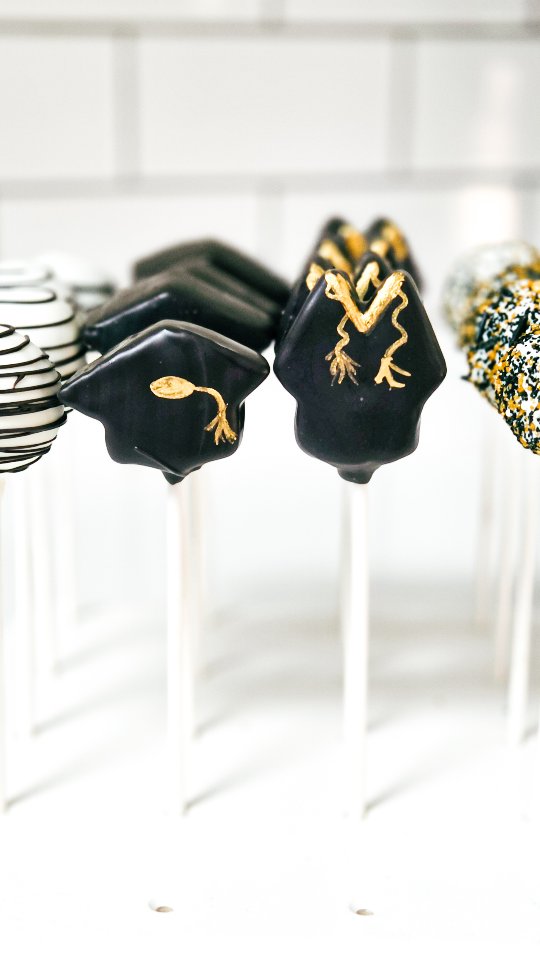 Weeks full of cake pops and cookies mean lots of sweet weeks. Can't wait to show you all that we have been up to.
.
.
#graduation
#grad
#graduationcake
#localbaker
#tampa
