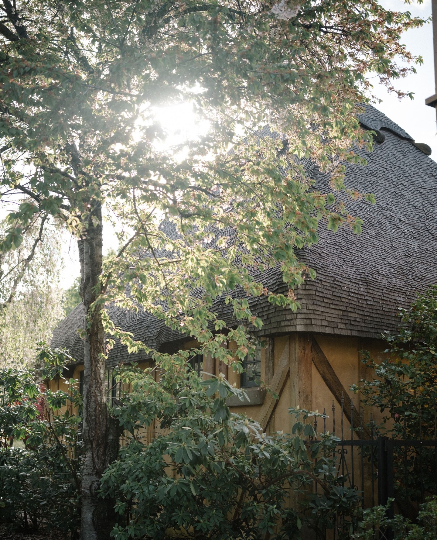 This french garden style property is a dream! Located in Southern Oregon!
#medfordweddings #oregonphotographer #weddingphotographer #southernoregon #oregonwedding #pnwwedding #southernoregon #oregoncoast #elopeinoregon #oregonweddingphotographer #oregonweddingideas #southernoregonphotography #roguevalleyphotographers #medfordoregonweddingphotography #grantspassweddings #ashlandweddings #ashlandweddingphotographer #portlandweddingphotographer #professionalphotographermedford #ashlandweddingplanner #ashlandweddingflorist #medfordweddingplanner #grantspassweddingplanner #medfordweddingflorist #medfordweddingvenues #ashlandweddingvenues #grantspassweddingvenues