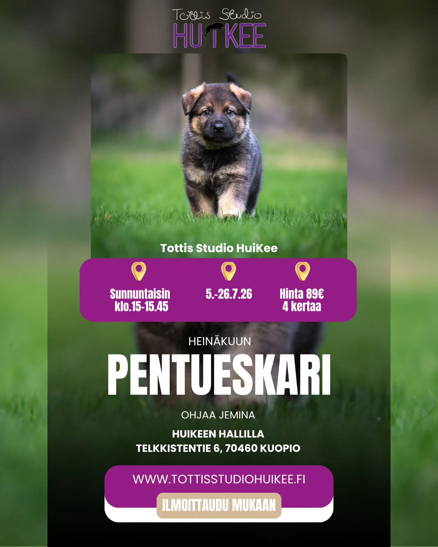 🐾 Pienet tassut, iso alku 🐾
Onko kotona pikkupentu? 💛
HuiKee PentuEskari tarjoaa turvallisen ja hauskan startin oppimiseen!
✨ Opitaan perustaidot leikin kautta
✨ Harjoitellaan kontaktia ja yhteistyötä
✨ Tutustutaan muihin pentuihin turvallisesti
Sopii 2–5 kk pennuille – myös ennen rokotuksia!
Anna pennullesi paras mahdollinen alku 🐶💫
HEINÄKUUSSA ALKAA
🌸 Sunnuntaisin klo.15-15.45
🌸 5.-26.7.2026, 4 kertaa
🌸 Hinta 89€
🌸 Ohjaaja Jemina @koirapalvelulojaali
Ilmoittadu tästä suoraan mukaan; https://slotti.fi/booking/tottisstudiohuikeeoy/#/
Tai katso kotisivuilta lisätietoja:
www.tottisstudiohuikee.fi
Aloita yhteinen matka kohti tasapainoista ja iloista arkea 💛🤩
#koirat #kuopio #koirakoulu #koirankoulutus #huikeekuopio