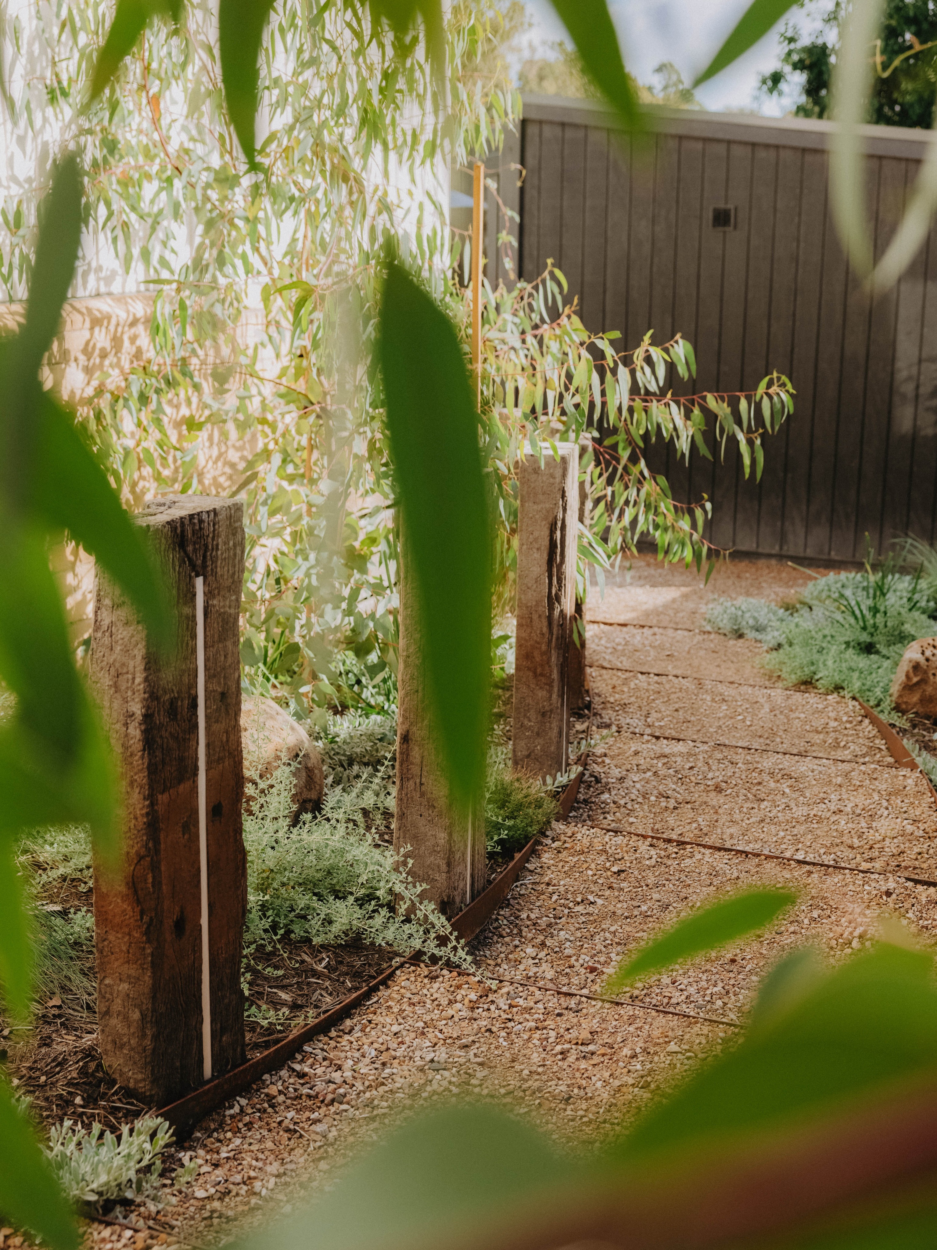 In 6 months your garden could look like this…
👉 Swipe to see 6 months of growth at our Mount Waverley project.
This garden is a year and a half old now but this initial growth still blows us away.
We documented it at the 1 year mark which saw it in full summer colour.
Perhaps this year we’ll aim for spring? 🌸
📸 @_chloesmithphotography_