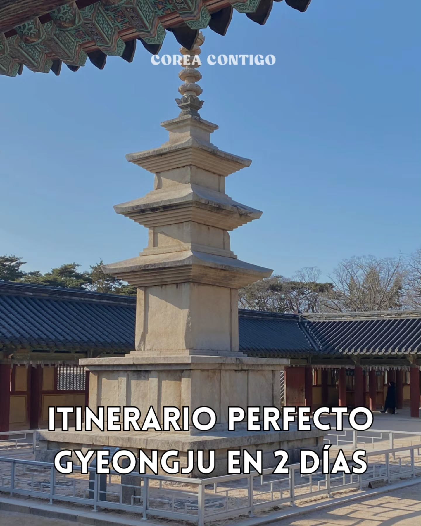 📸 Itinerario perfecto: Gyeongju en 2 días 🗺️✨
¿Sólo vas a visitar Seúl y Busán? Si quieres descubrir el alma de Corea, Gyeongju es una parada obligatoria. Conocida como "el museo sin paredes", fue la capital del Reino de Silla por mil años. ¡Aquí tienes el itinerario ideal de 2 días! 👇
📅 DÍA 1: Tradición y Luces Mágicas
1. Hwangridan-gil (황리단길) ☕
Barrio de moda lleno de casas hanok convertidas en cafeterías con encanto y tiendas únicas. ¡Ideal para empezar el día!
2. Daereungwon y Cheonmachong (대릉원 & 천마총) 🌳
Parque de tumbas reales que parecen colinas verdes. Puedes entrar a la tumba Cheonmachong para ver sus tesoros.
3. Cheomseongdae (첨성대) 🌌
El observatorio astronómico más antiguo de Asia Oriental. Al atardecer, el cielo cambia de color detrás de él de forma mágica.
4. Puente Woljeonggyo (월정교) 🌉
Majestuoso puente de madera real. Cruza el río por las piedras para tomar una foto espectacular con su reflejo en el agua.
5. Donggung y el estanque Wolji (동궁과 월지) 🌙
Antiguo palacio real. ¡Tienes que ir de noche! El reflejo de los palacios iluminados sobre el agua te dejará sin aliento.
📅 DÍA 2: Patrimonio de la UNESCO
6. Templo Bulguksa (불국사) ⛩️
Obra maestra del arte budista (UNESCO). Su arquitectura de madera y piedra representa el paraíso en la tierra.
7. Seokguram (석굴암) 🙏
Gruta artificial (UNESCO) con un majestuoso Buda mirando al mar del Este. El camino por la montaña es increíblemente pacífico.
8. Museo Nacional de Gyeongju (경주국립박물관) 👑
El broche de oro. Aquí podrás ver en persona las impresionantes coronas de oro reales (금관) y la gran Campana Divina.
🗺️ Ruta:
Día 1: Llegada ➡️ Hwangridan-gil ➡️ Daereungwon ➡️ Cheomseongdae ➡️ Woljeonggyo ➡️ Donggung & Wolji.
Día 2: Templo Bulguksa ➡️ Seokguram ➡️ Museo Nacional de Gyeongju ➡️ Salida
#coreacontigotour #tourenespañol #corea #viajeacorea #gyeongju
