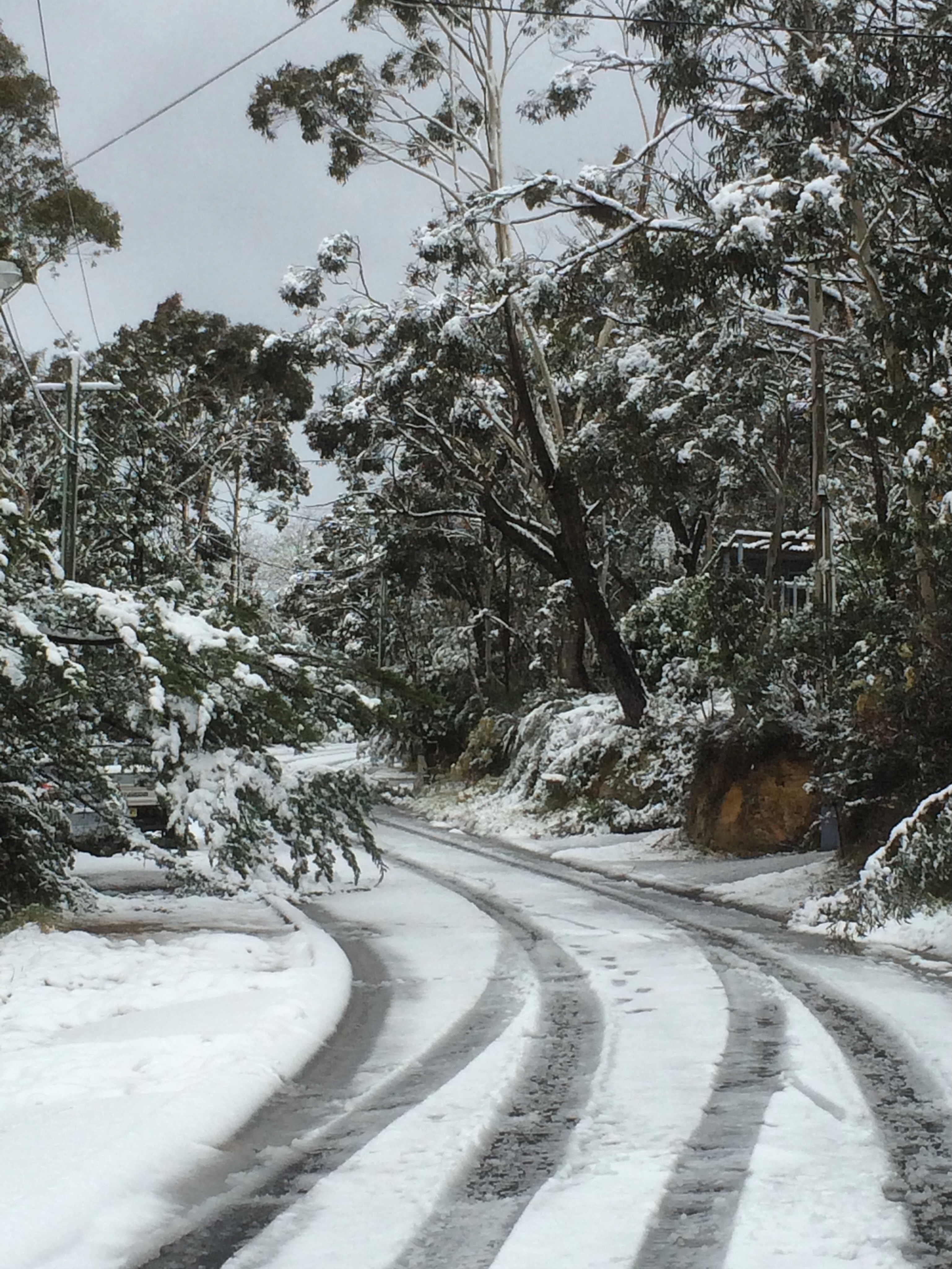 This weekend the Winter Magic Festival is back in Katoomba.
Winter Solstice has always felt a little special to me. Perhaps it’s because I’m a June baby, perhaps it’s because some of my fondest childhood memories are wrapped up in frosty paddocks, wood fires and star-filled winter skies.
This year’s Winter Solstice blog is now live on The Witch’s Journal. Inside you’ll find reflections on Yule traditions, seasonal living, simple Winter Solstice altar ideas, journaling prompts and the theme I’ve chosen to guide me through the year ahead.
Whether you celebrate Winter Solstice, Yule, or simply enjoy the slower rhythm of winter, I hope it inspires you to pause, gather, reflect and notice the quiet magic of the season.
I share with you an image of my street a few years ago on winter solstice morning. Hanging for a snow day!
Link in bio 🌙🕯️🍊
Or copy and paste. https://www.theawenroom.com.au/post/winter-solstice-in-australia-a-time-for-simplicity-gathering-and-gratitude
#wintermagicfestival #wintersolstice #australianwitches