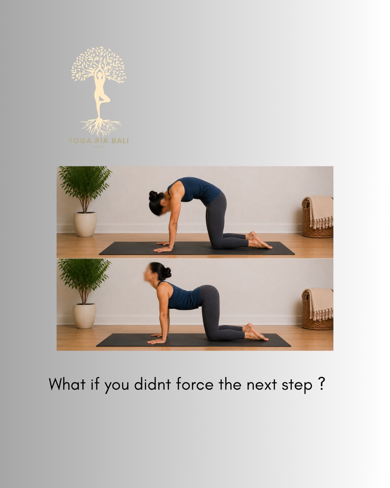 The spine knows how to move.
The breath knows how to flow.
Sometimes our only job is to stop resisting.
Cat-Cow invites gentle movement and curiosity.
Nothing perfect.
Nothing to achieve.
Just meeting yourself where you are today.
We begin many classes this way, arriving slowly into the body
#selfcare #ubudyoga #ubud #yogaforeveryage #catandcow