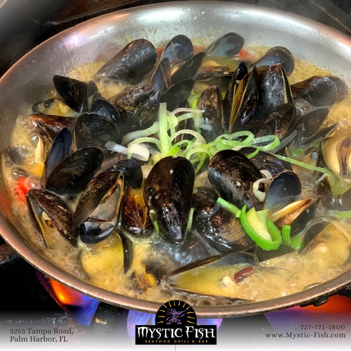 Let's make dinner plans for the weekend, shall we?
โข PEI #Mussels - EVOO, wine, garlic broth, red peppers, leeks & chorizo
โข ๐๐ช๐ฏ๐ฆ ๐ช๐ฏ ๐ฐ๐ณ ๐ฑ๐ญ๐ข๐ค๐ฆ ๐บ๐ฐ๐ถ๐ณ ๐ต๐ข๐ฌ๐ฆ ๐ฐ๐ถ๐ต ๐ฐ๐ณ๐ฅ๐ฆ๐ณ๐ด ๐ฃ๐บ ๐ฑ๐ฉ๐ฐ๐ฏ๐ฆ ๐ข๐ด ๐ฆ๐ข๐ณ๐ญ๐บ ๐ข๐ด 2:00๐ฑ๐ฎ 7 ๐ฅ๐ข๐บ๐ด ๐ข ๐ธ๐ฆ๐ฆ๐ฌ: 727-771-1800
๐ ๐๐ฒ๐ฌ๐ญ๐ข๐ ๐
๐ข๐ฌ๐ก
727-771-1800
www.Mystic-Fish.com
Call for reservations
โข #MysticFish #PalmHarbor #seafood #eatlocal #seafoodtime #buzzfeast #eeeeeats #lovefood #foodandwine #foodgasm #foodiesofinstagram #yummy #foodlover #foodies #instafood #foodpic #delicious #eatingfortheinsta #foodblogfeed #culinary #tbeatsout #dailyeats #foodstagram