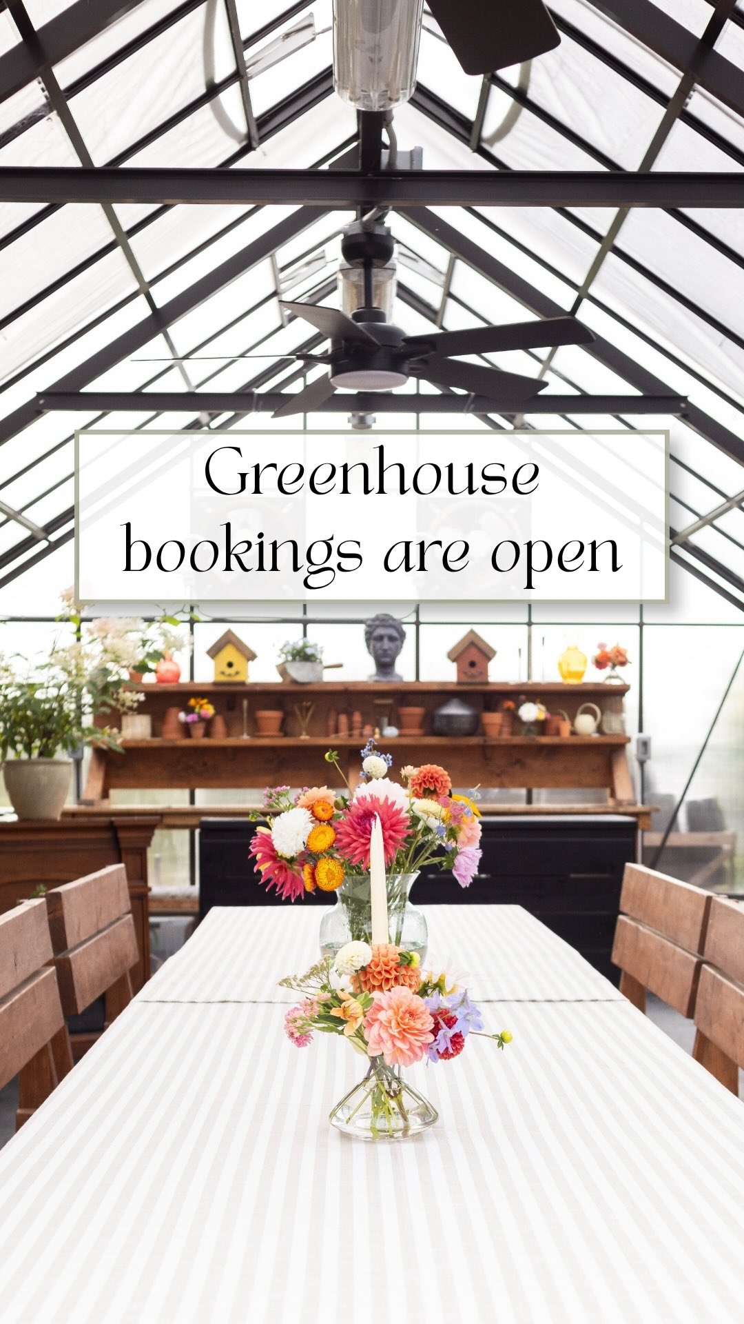 The Greenhouse is officially open for bookings again!
If you’re looking for a sweet little space in Sooke for a baby shower, birthday, workshop, pop-up, or small gathering, this just might be the spot for you!
The space can hold up to 30 guests depending on the style of event, and you can add on things like coffee, tea, baked goods, platters, set-up, clean-up, or decorating support if needed.
You can find more details and request a booking through the Private Events page on our website.