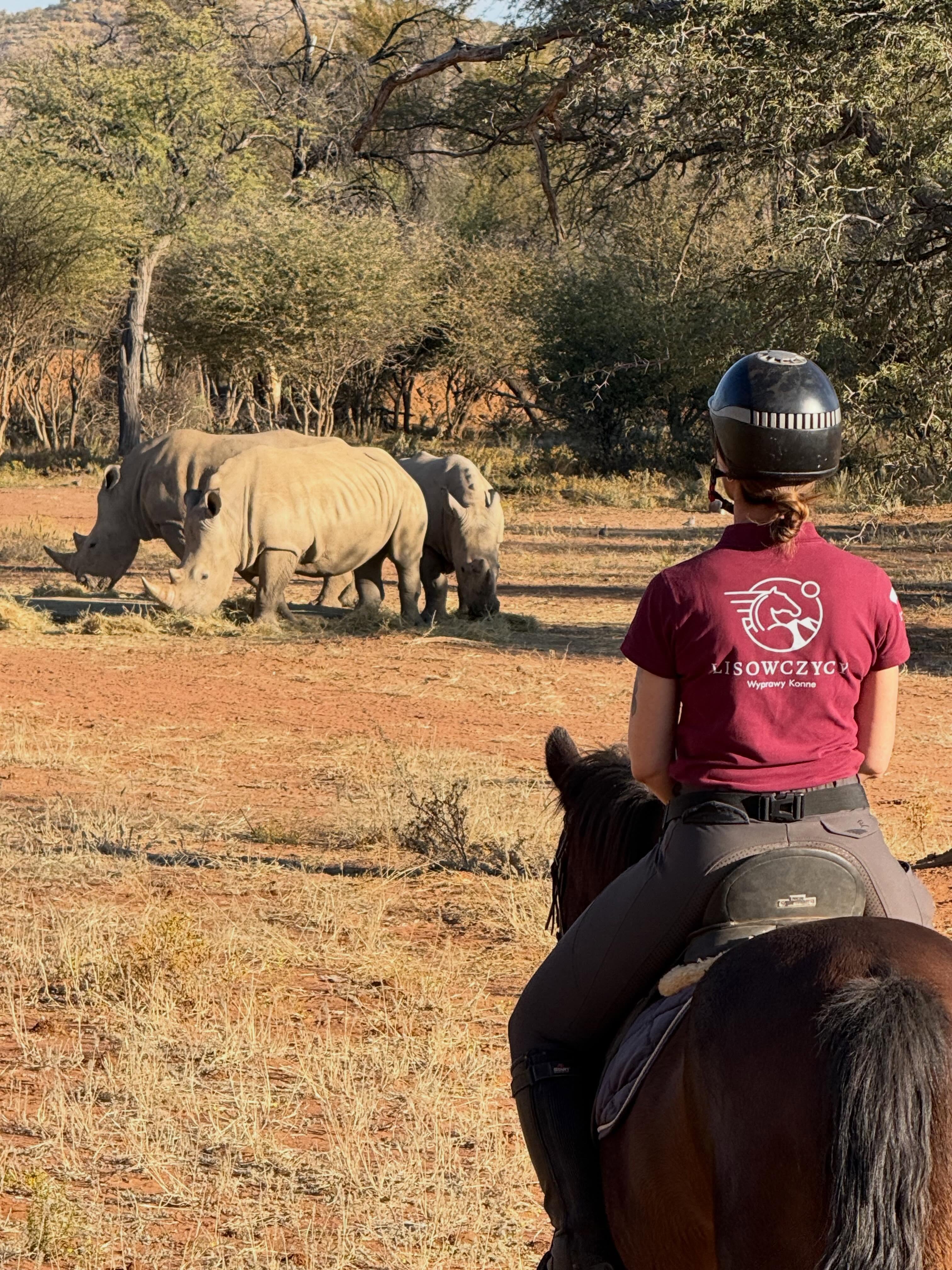 There is something truly magical about meeting wildlife from the back of a horse. 🐎✨
Moving quietly through the open landscapes, feeling the rhythm of your horse beneath you, and watching animals in their natural world creates a connection like no other.
Every encounter becomes a special moment — a reminder that we are visitors in their home, sharing the same space with nature in the most authentic way. 🌿🦏
#namibiahorsesafari #whiterihino #horsebackholidays #namibianlodge