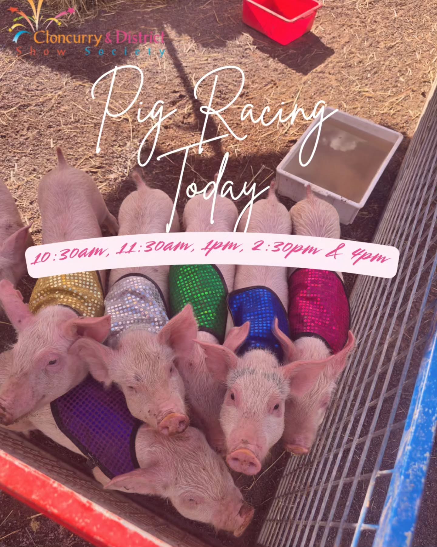 We have got 5 super fast pig races lined up today π Catch them at 10:30am, 11:30am, 1pm, 2:30pm & 4pm.