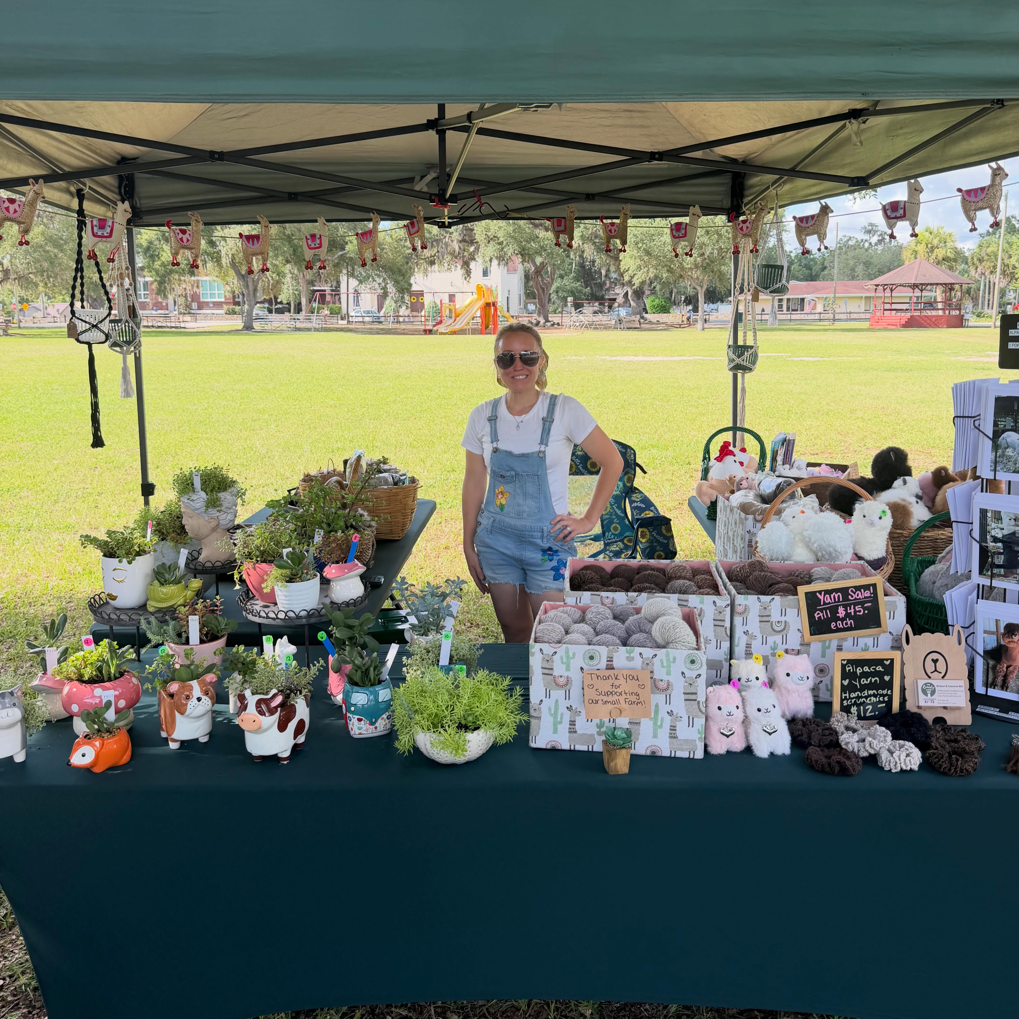 Market in the San Ann Park happening now!! Come see us until 1 pm 💚🪴🦙🧶