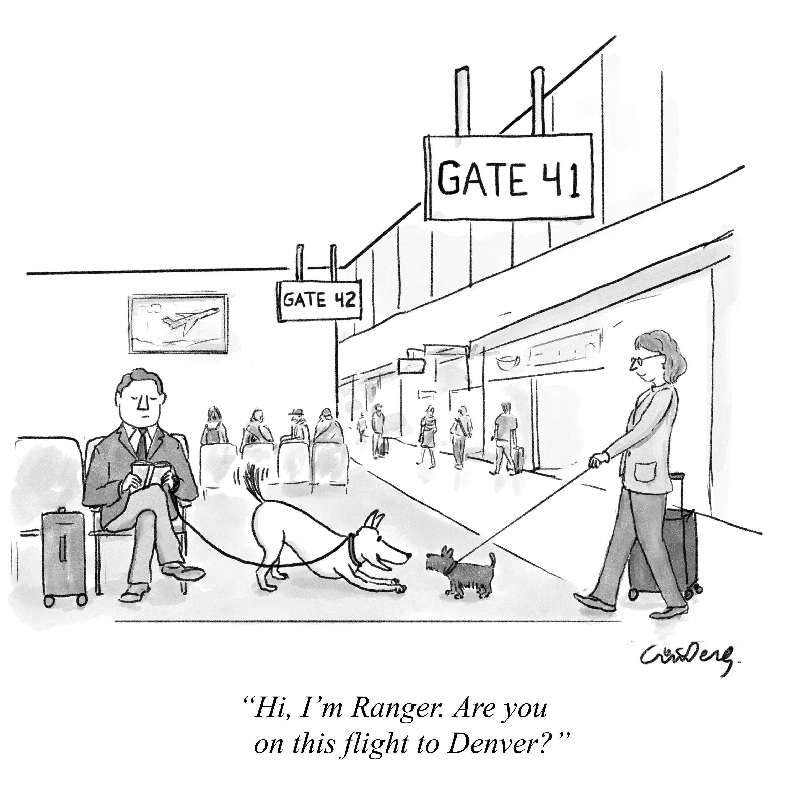 Travel season!
#dogs #travel