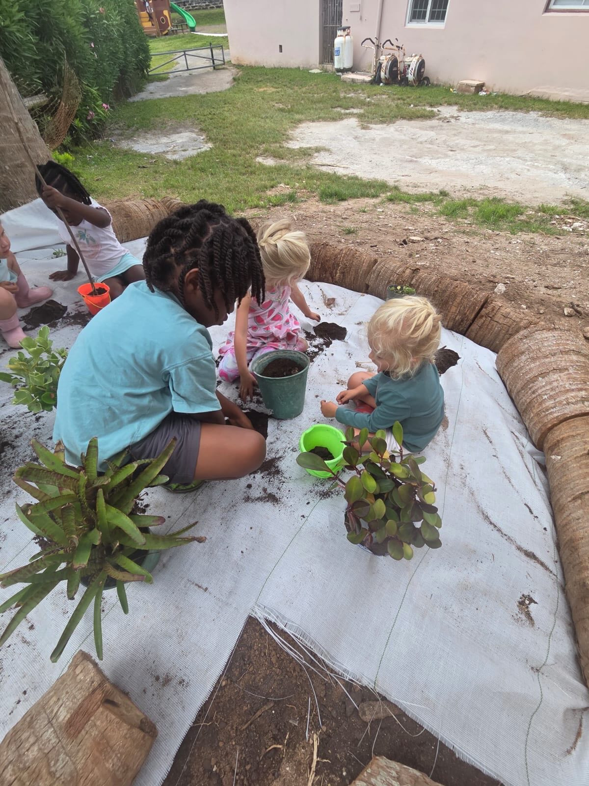 Today our little gardeners got busy using their fine motor skills, cutting, digging holes, and making space for some transfer plants. 🌱💚
While exploring, we even found a little visitor looking for a home… and of course, at KANS, kindness comes naturally. We made sure our little friend felt safe and right at home.
Hands in the soil, caring for nature, and learning through play — just another day at KANS! 🌎🌿#kansbermuda #childrenprograms #naturebasedteaching #nature #bermuda