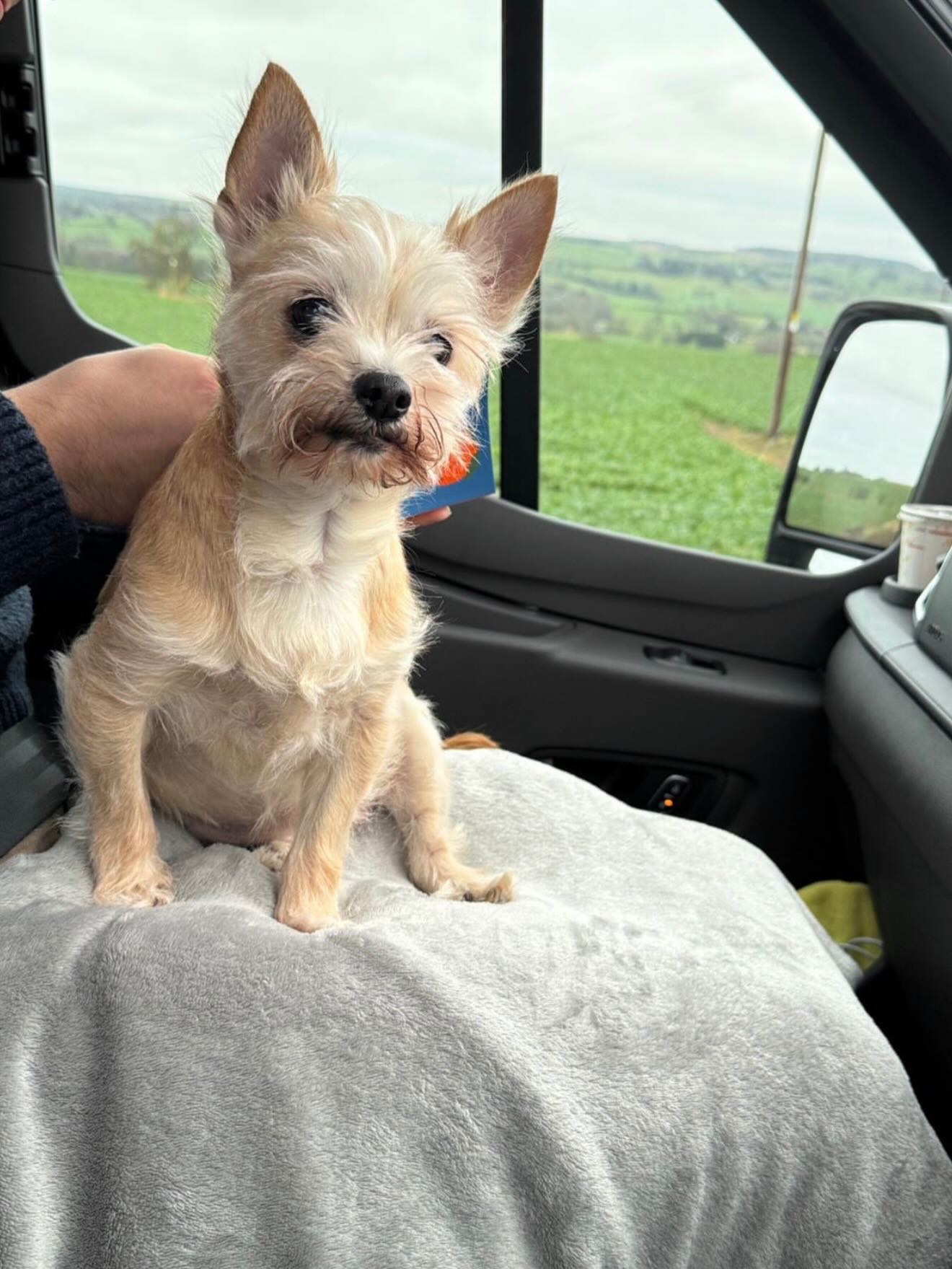We’re a proud Yorkshire family business, and every motorhome we hire is one we’d happily take our own family (and fur family!) away in - under two years old, meticulously valeted and ready for the road.
Find out more via our website - link in bio 🚐 🐾