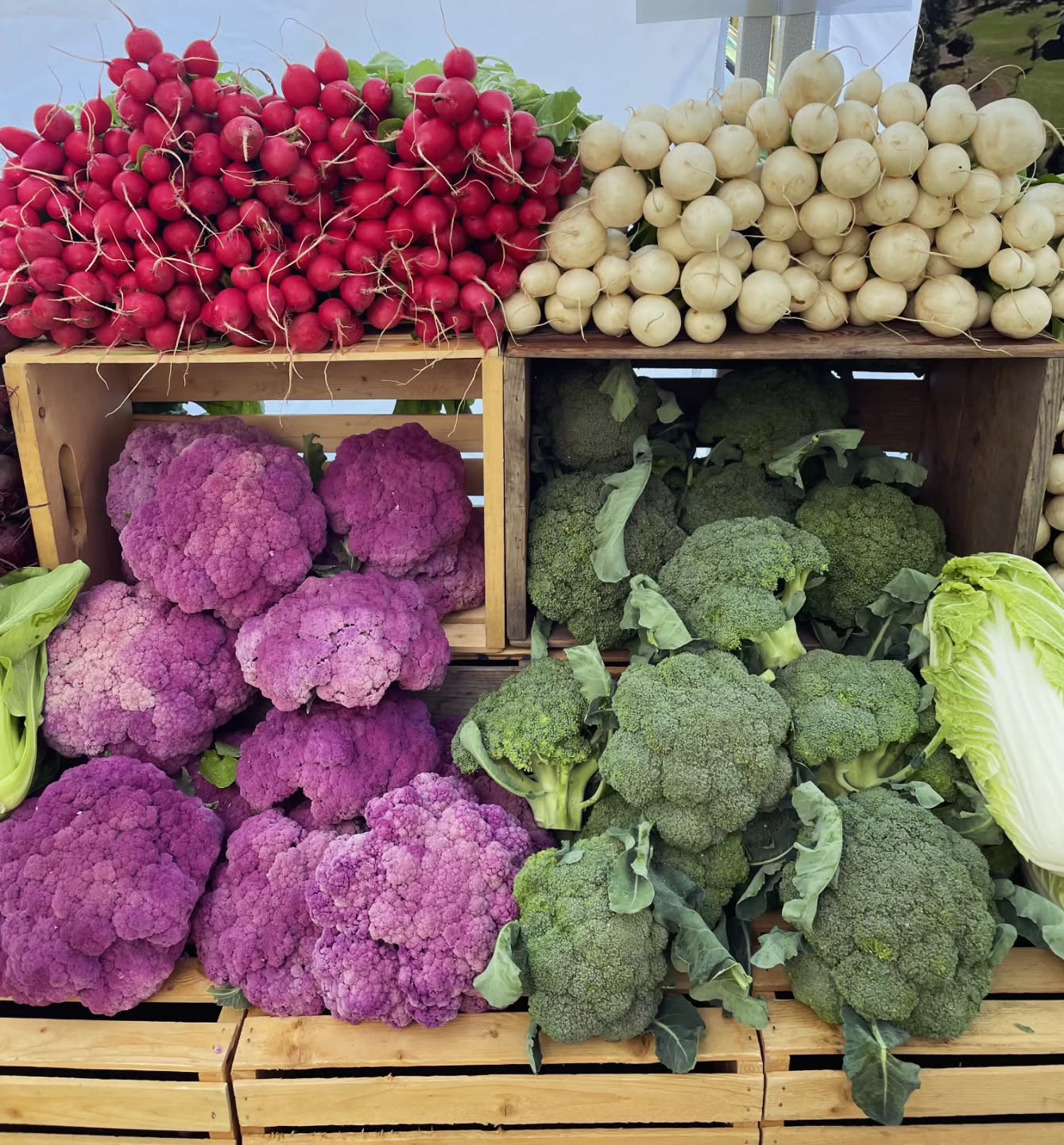 See ya on Bakerโ๏ธ 10am-2pm! Broccoli is the new veggie of the week! @nelson.farmers.market
#kootenaycornergardens #nelsonfarmersmarket #eatlocal #supportyourlocalfarmer