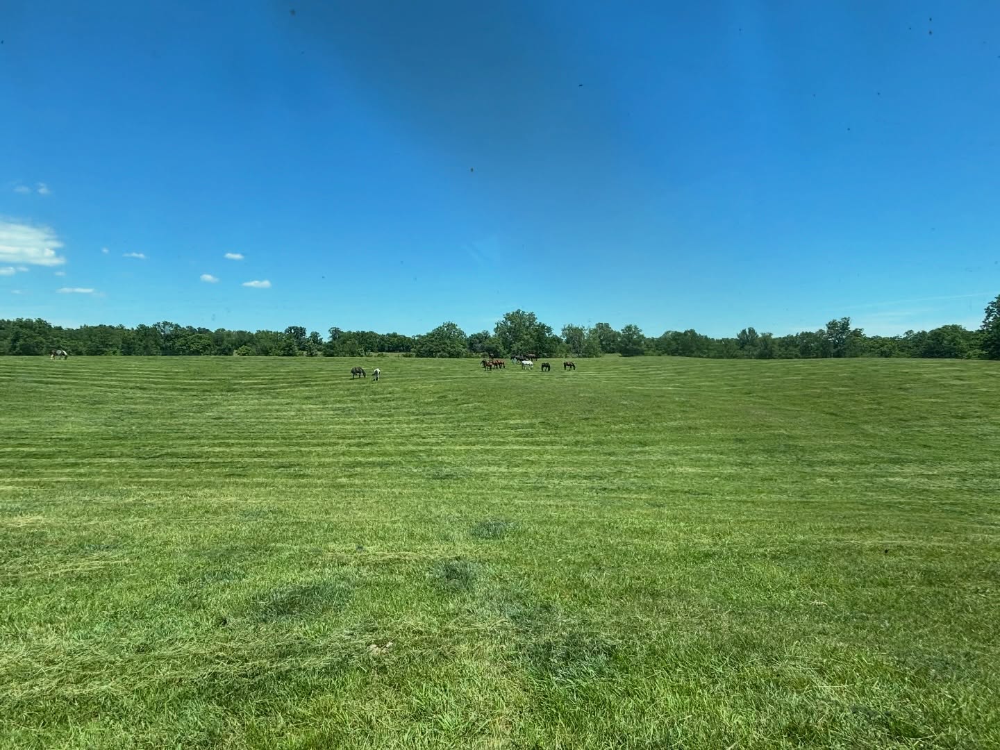 Freshly mowed fields of green and skies of blue!