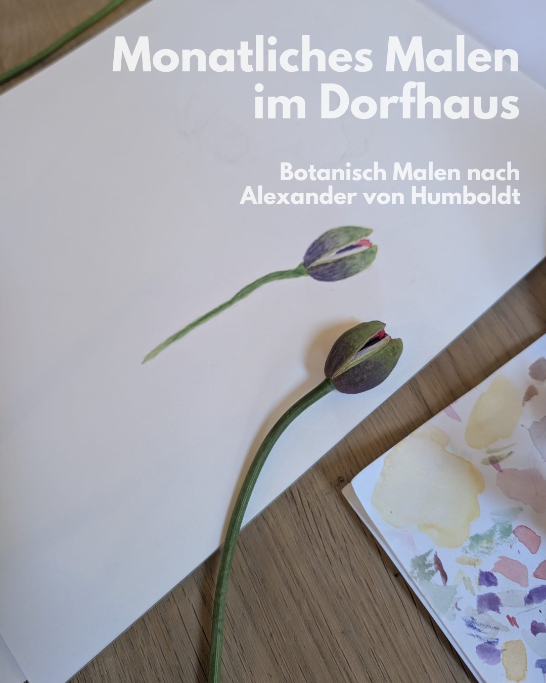 Du willst die Bildschirmzeit reduzieren-
Deine oder die deines Kindes?
Botanisch Malen ist ein Erlebnis für Eltern und Kind!
Es wirkt ein kleines bisschen wie ein Zauber. Du wirst es lieben, weil du zur Ruhe kommst. Dein Kind, weil es mit dir forscht, Neues entdeckt...
Es verbindet euch.
Tauche ein in die Welt des Naturforschers Alexander von Humboldt.
Kosten: freie Spende
Aktuelle Termine zu Kursen, Ausbildung und Workshops findest du hier: www.alba.or.at