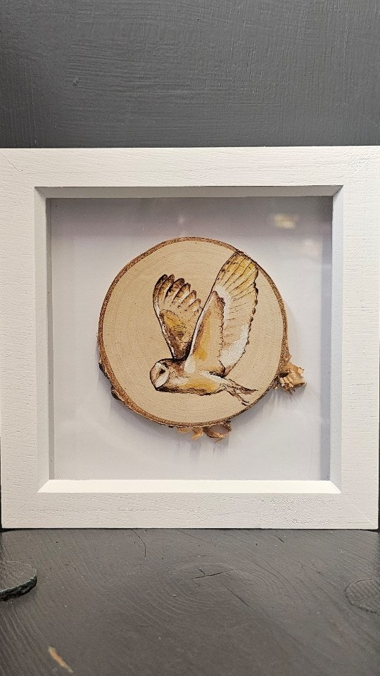 New Art Drop
🌱 To the beautiful Tin Can at Stokeley Farm Shop.
These three pyrography and paint framed birch wood slices are a fantastic last minute panic gift solution for Father's Day this weekend.