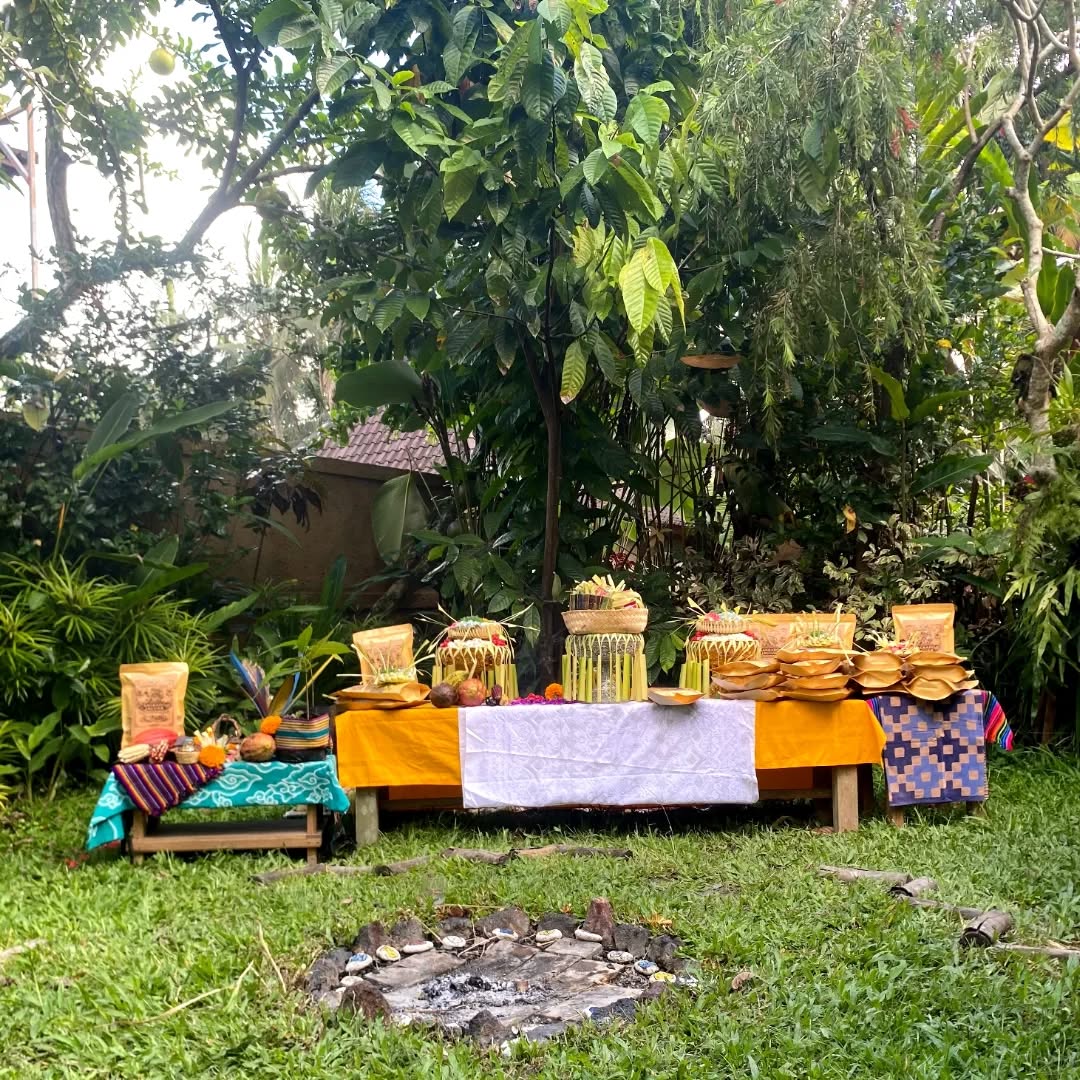 Under the Cacao tree, by the fire altar that has witnessed so many ceremonies and prayers of family and community, my dear friend Mangku Ketut led us through a traditional Balinese blessing ceremony for the land, Mama Bali, the cacao, the hands involved in the process, the whole production and this journey of Sagrado Jaguar.
In awe at what's unfolding and the beauty of this adventure.
We gathered intentionally, drank some Cacao, sang, prayed and blessed this Cacao for our enjoyment and for the global family to receive the gifts and love of this beautiful medicine.
Following the ceremony, prayer and offering ways of this land, this ceremony honored the spirit of Cacao, the plant itself, and the process behind one of the most amazing Cacao I've had the blessing to work with.
It's the intention behind it, the people that care for and grow it, the awareness of right relation with land, spirit and community, and the offerings done along the way that become this delicious Cacao we enjoy and what makes it ceremonial. It's being an interesting experience to weave worlds and cultures, always with deep respect for the origins of this plant and the wisdom that surrounds it.
Thank you, Mama Bali, for being the land that nurtures this Cacao. Matur Suksma kepada para leluhur, matur suksma Nusa Dewata.
Maltiox Cacao for finding your way here and the opportunity to serve you in new ways.
Thanks to all the hands part of the process for this cacao to be available for us.
Suksma dear brother Ketut for your ongoing support, teachings, and encouragement in this path of devotion and care for Mother Earth.
Thanks Akari, Immanuel, Pak Wayan, Komang and Tanya for being part of this moment.
And to each of you on the other side, for choosing and bringing this Cacao into your lives & community, spreading the word, sending prayers and blessings, and celebrating this coming to life. Gracias Familia!
This is a magical start, and I envision this cacao reaching further as Sagrado Jaguar finds its feet in new lands and spaces.
If you feel the call to be part of this from the very beginning, reach out. ππ½
Viva Cacao! πΏπ₯
Maltiox, Suksma, Gracias!!
β’
πΈ @aetheria.gallery.photo
