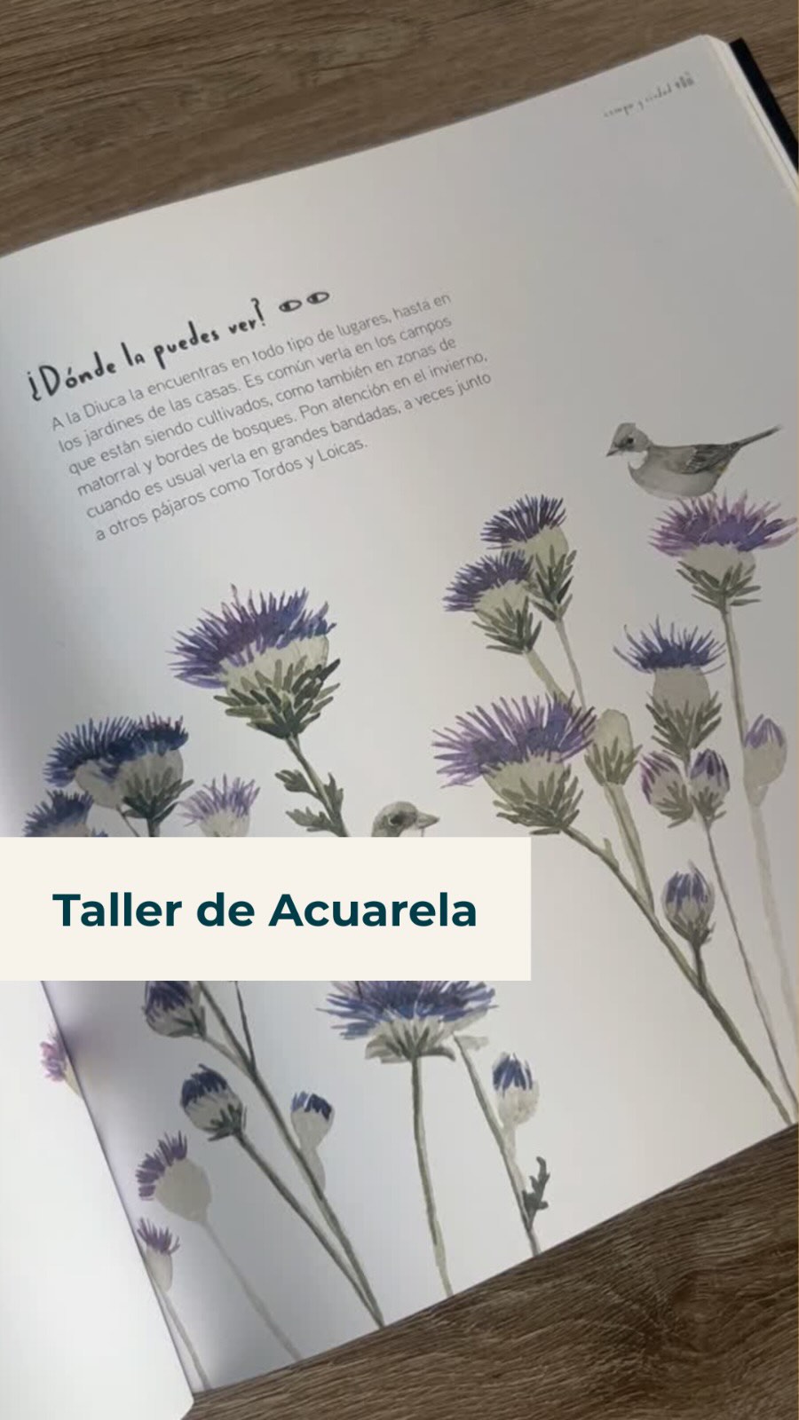 🎨✨ ¡𝗔𝘁𝗿é𝘃𝗲𝘁𝗲 𝗮 𝗽𝗶𝗻𝘁𝗮𝗿 𝘀𝗶𝗻 𝗿𝗲𝗴𝗹𝗮𝘀!
Te invitamos a “𝗣𝗶𝗻𝘁𝗮 𝘁𝘂 𝗺𝗮𝗻𝗰𝗵𝗮”, 𝘂𝗻 𝘁𝗮𝗹𝗹𝗲𝗿 𝗱𝗲 𝗮𝗰𝘂𝗮𝗿𝗲𝗹𝗮 pensado para experimentar, jugar con los colores y descubrir las formas que nacen en el papel.
No necesitas experiencia previa, solo ganas de crear, soltar el pincel y dejar que la imaginación fluya. 🌈🖌️
🔗 Link de inscripción en nuestra bio.
📅 Jueves 25 de junio
⏰ 11:00 a 13:00 hrs
👧🧑👩 Para niños, jóvenes y adultos.
📍 Centro Emprendedor Fibra, Resbalón 1689, Cerro Navia
¡Te esperamos! 💛 #VacacionesenFibra
#Acuarela #CerroNavia #TallerDeArte