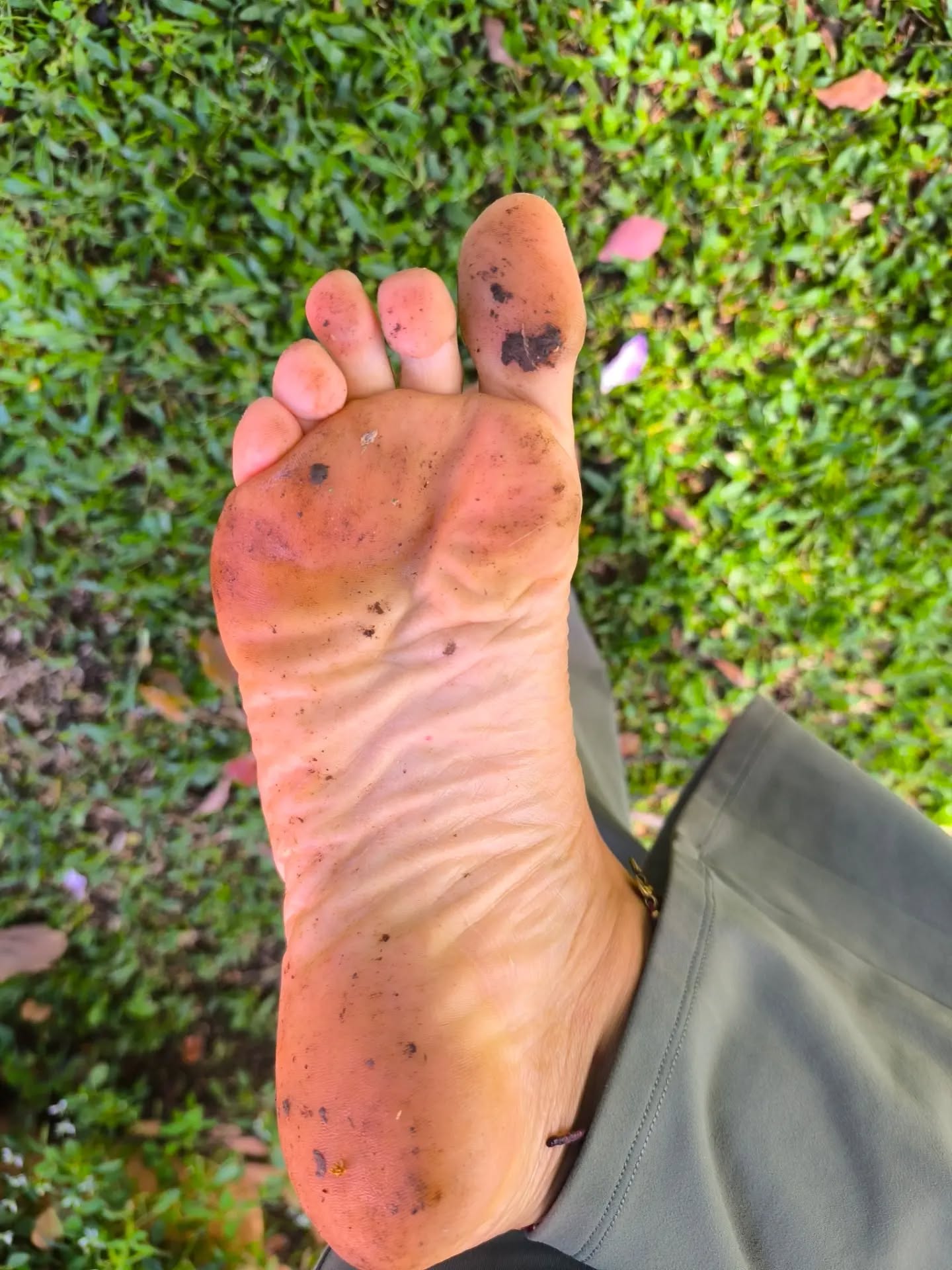 PĂS SUJOS, ALMA LEVE đŁ
No final de cada aula, os meus pés ficam sempre cheios de terra.
E adoro isso.
Passamos grande parte da vida afastados da natureza, protegidos por sapatos, paredes e ecrãs. Quando praticamos yoga descalços sobre a relva ou a terra, algo muda. Sentimos mais. Ficamos mais presentes. Mais ligados ao corpo, à respiração e ao momento.
Hå uma energia especial em praticar ao ar livre. O som dos påssaros, o vento na pele, o chão sob os pés. A natureza lembra-nos de abrandar e de regressar ao essencial.
Por isso, quando vejo os meus pés cobertos de terra no final da aula, vejo um sinal de conexão, de enraizamento e de bem-estar.
Se tambĂ©m sentes vontade de respirar mais fundo, mexer o corpo e estar em contacto com a natureza, junta-te a mim numa das prĂłximas aulas de yoga no jardim. đżđŁ
