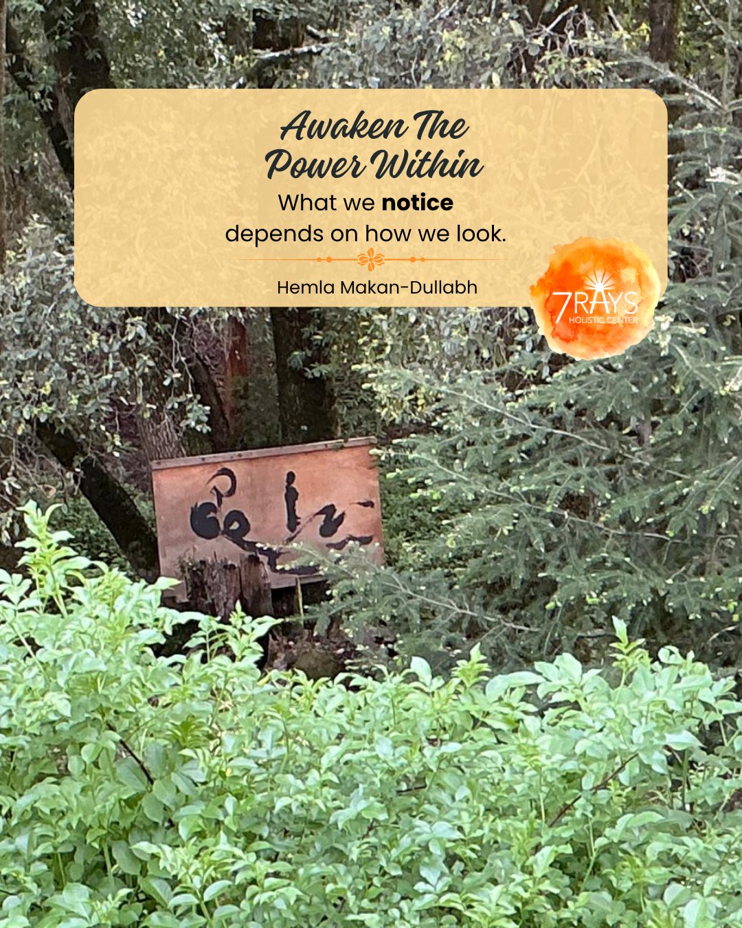 Awaken The Power Within
What we notice
depends on how we look.
Awareness begins
when we slow down enough
to truly see.
šø Photo by Hemla
#reawakenthepower
š Explore where 7 Rays is journeying next
https://www.7raysholisticcenter.com/events and join this amazing adventure.
#colortherapy #enneagram #familyconstellations #CrystalHealing #EnergyWork #ChakraHealing #7rays