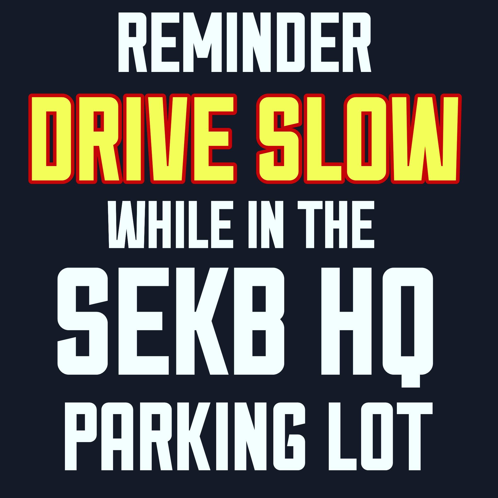 Extremely important. We often have children and dogs in the parking lot. Anyone driving in our lot MUST drive slowly and carefully to keep everyone safe!