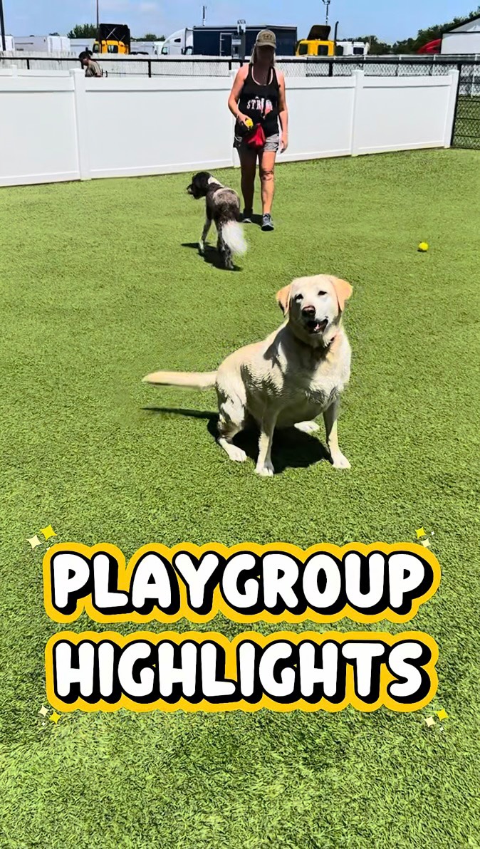 Highlights from todayโs playgroup.