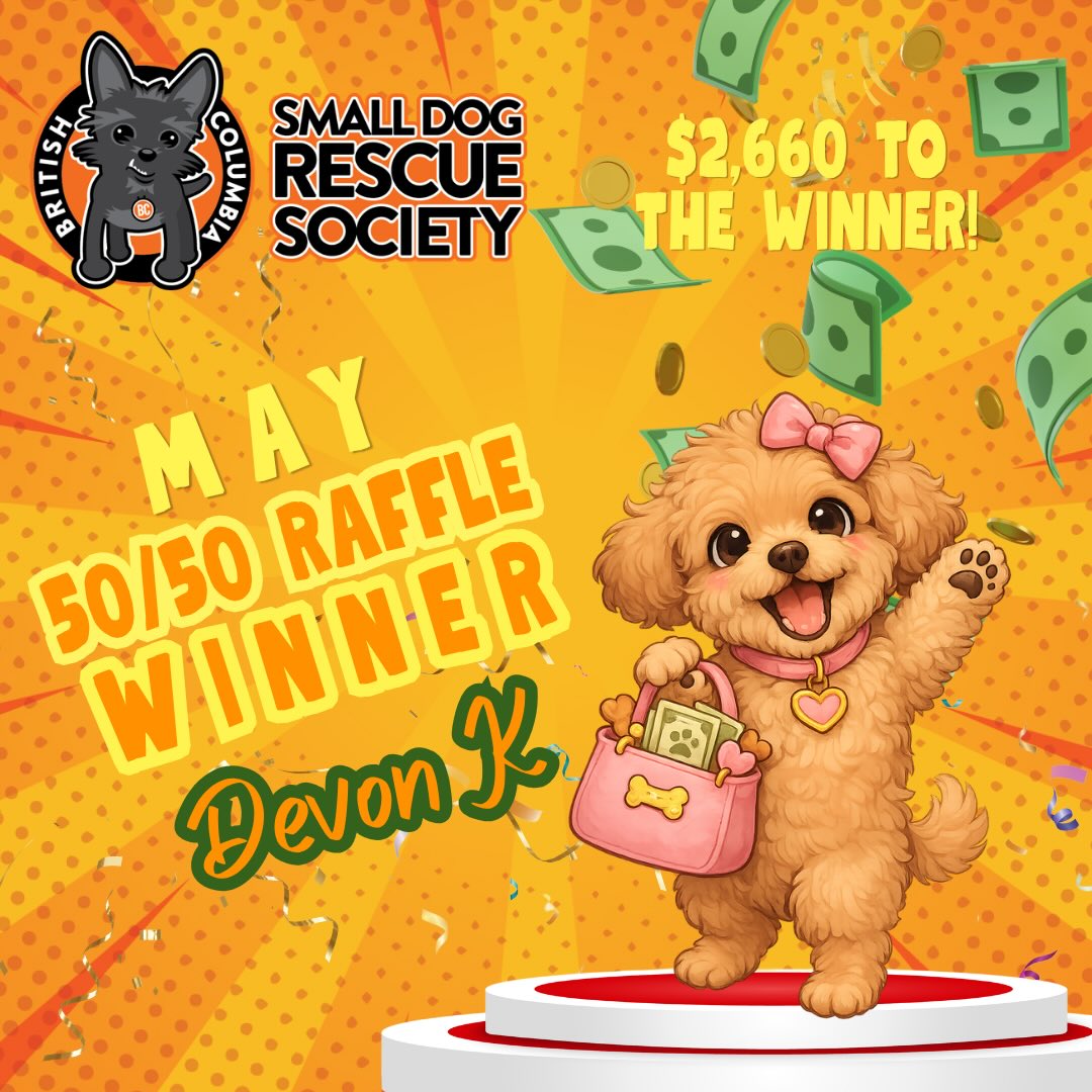 Thanks Kelli for reminding me I forgot to share our winner of the May 50/50 raffle.
Devon K was the winner of the 50% proceeds of $ 2,660.00.
Thank you to everyone who played.
June’s raffle is in running now and at $210. Deadline: June 30. Ticket link in the bio.
#5050raffle #smalldogrescuebc #lottowinner #dogrescue #adoptdontshop