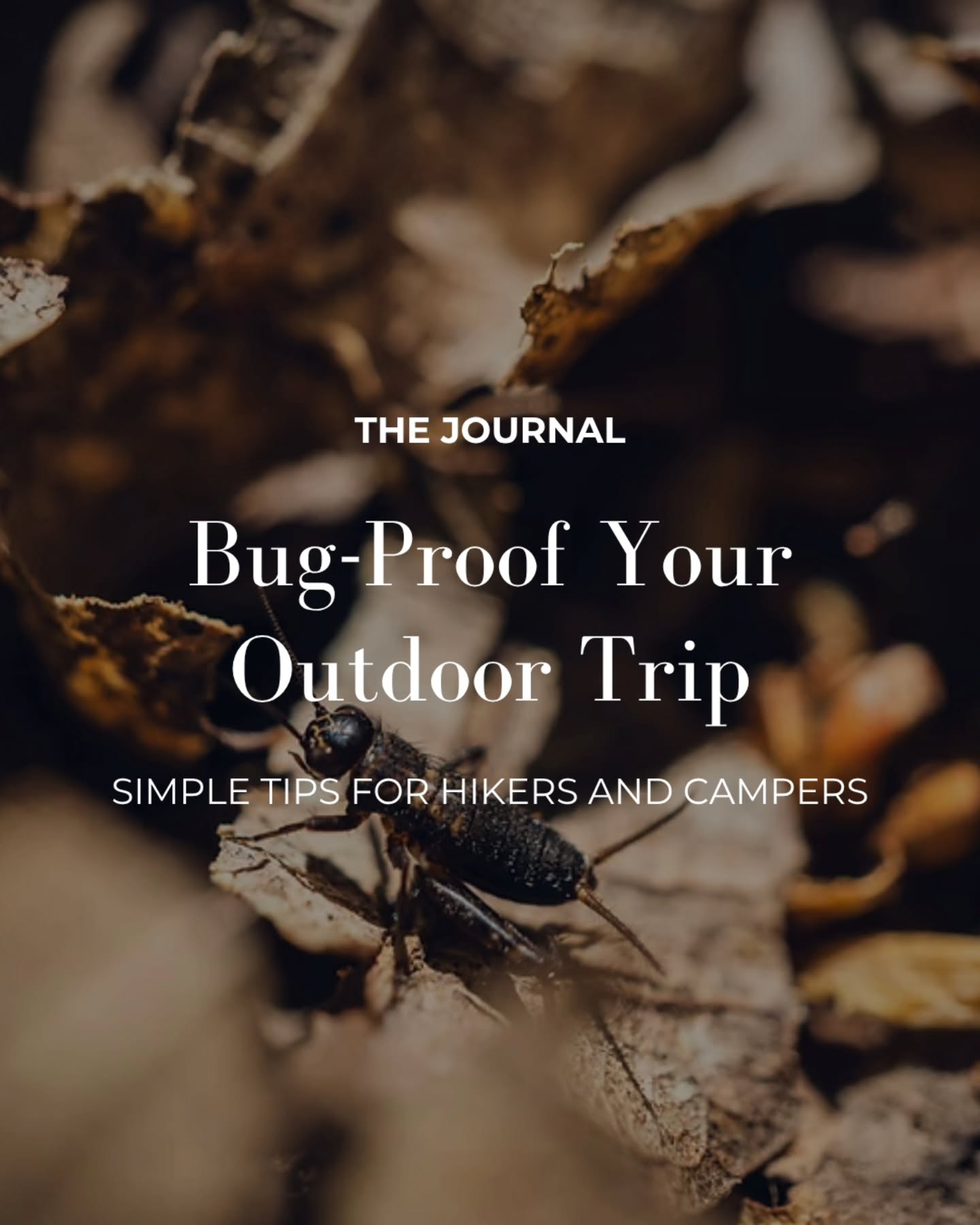 Bugs love summer.
Unfortunately, they were not invited on your trip.
Our new guide has simple ways to keep mosquitoes, ticks, and other tiny outdoor villains from ruining the vibe.
Read it in the journal. Link in bio. #nature
#outdoorlife #bugfree #camping #hiking