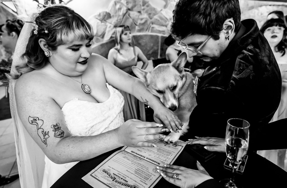 🐾 Did you know that in Colorado, your dog can legally "sign" your marriage license as a witness? Yep, your four-legged best friend can be part of your wedding day in an official way!
At Baldoria on the Water, we love seeing couples include their pups in everything from the ceremony to the photos—and even the paperwork. Whether you're planning a destination wedding from out of state or you're a Colorado local, little moments like these are what make a wedding uniquely yours.
Because let's be honest... if they've been there through every chapter of your love story, shouldn't they get a paw in the big day too? ❤️🐶
📸
@bonnie.photo
#BaldoriaOnTheWater #ColoradoWeddingVenue #DogFriendlyWedding #DestinationWeddingColorado #WeddingDayDetails #ColoradoBride #WeddingInspiration #PupOfHonor #LakewoodWeddingVenue #WeddingGoals