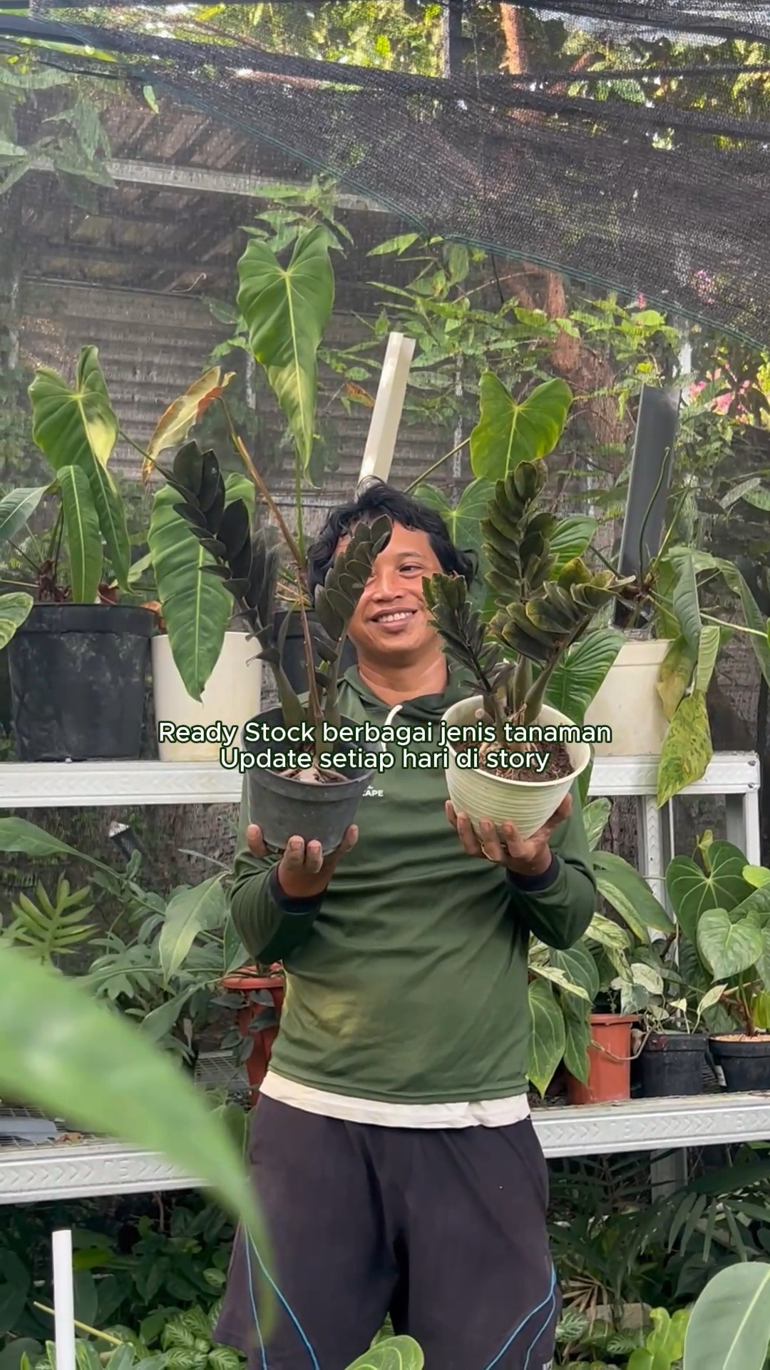 🌿 Sedang mencari tanaman untuk taman atau koleksi di rumah?
Jangan lupa cek Instagram Story kami setiap hari! 👀
Kami rutin mengupdate stok tanaman terbaru, tanaman langka, ukuran siap tanam, hingga promo dan penawaran spesial yang mungkin tidak muncul di feed.
✨ Update setiap hari
✨ Beragam pilihan tanaman tropis
✨ Siap untuk proyek landscape maupun koleksi pribadi
📲 Follow dan aktifkan notifikasi agar tidak ketinggalan update terbaru dari kami.
#tanamanbali #tanamanhias #tropicalplants #landscapebali #tanamantropis #tanamanunik #jualtanaman #tropicalgarden #indotropicalplant #bali