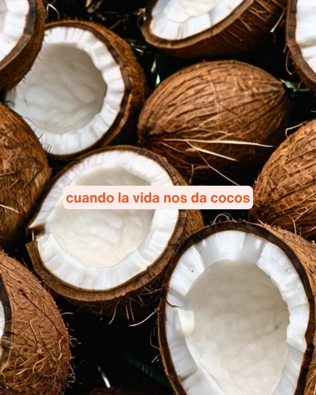Moist Me body oil, una mezcla de ingredientes nutritivos diseñada para dejar tu piel suave, hidratada y radiante.
Porque las mejores fórmulas comienzan con ingredientes simples. 🧡