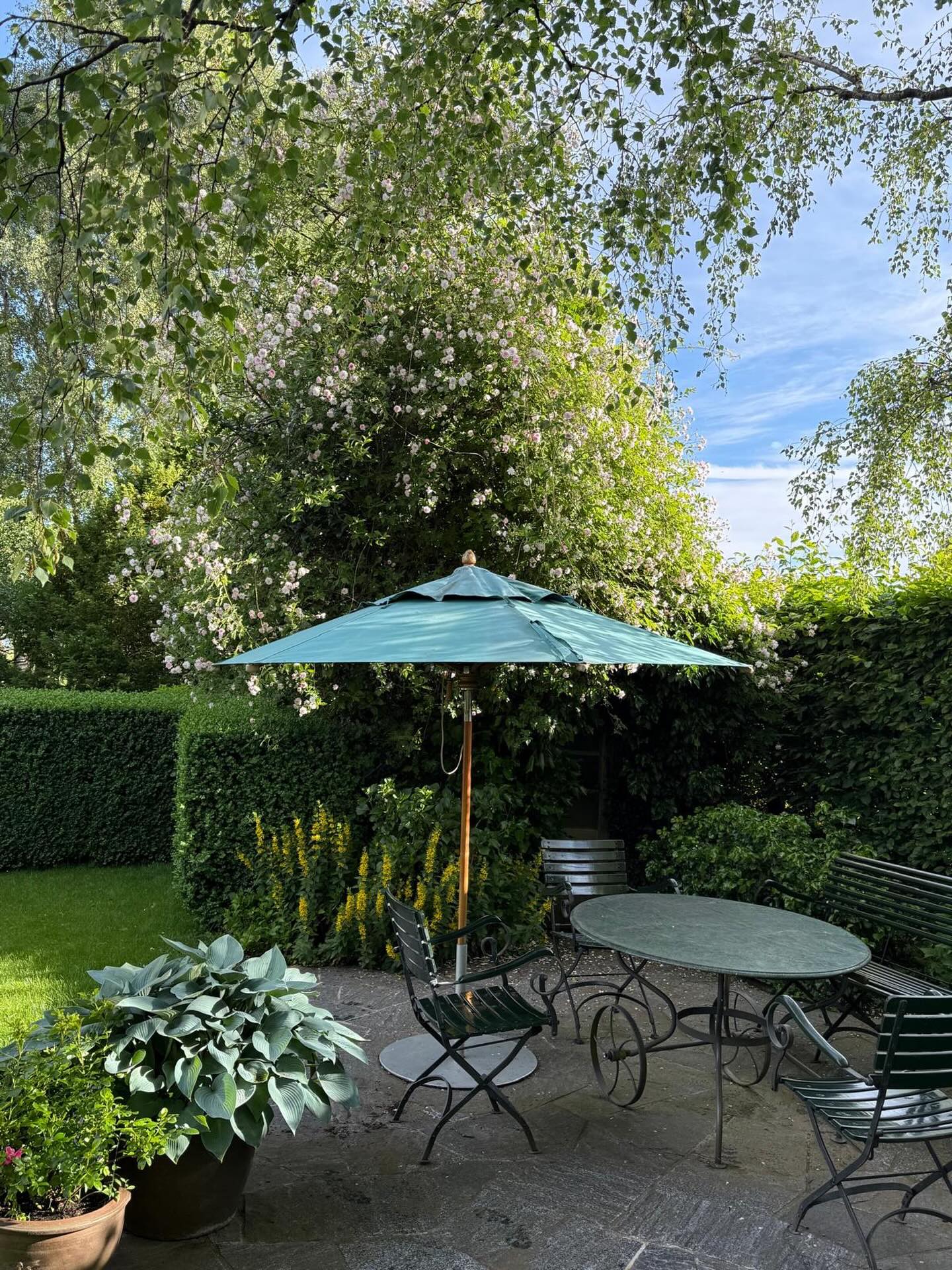 🌿 Ruheplatz im Grünen 🌿
Ein Garten lebt nicht nur von Pflanzen, sondern von den Orten, an denen man ihn geniessen kann. Unter dem schützenden Blätterdach, umgeben von sattem Grün und blühenden Akzenten, entsteht ein Lieblingsplatz für entspannte Sommerstunden.
Die Kombination aus üppigen Blattstrukturen, farbigen Blüten und klar geschnittenen Hecken schafft eine harmonische Atmosphäre und verleiht der Terrasse einen natürlichen Rahmen. So wird der Sitzplatz zum grünen Wohnzimmer im Freien.
💡 Unser Gartentipp:
Mit einer abwechslungsreichen Bepflanzung aus immergrünen Gehölzen, strukturgebenden Blattschmuckpflanzen und saisonalen Blütenpflanzen bleibt der Garten das ganze Jahr über attraktiv und bietet gleichzeitig wertvolle Lebensräume für Insekten und Vögel.
#Tollegärten #Gartenliebe #Terrassengestaltung #Gartenideen #Gartendesign