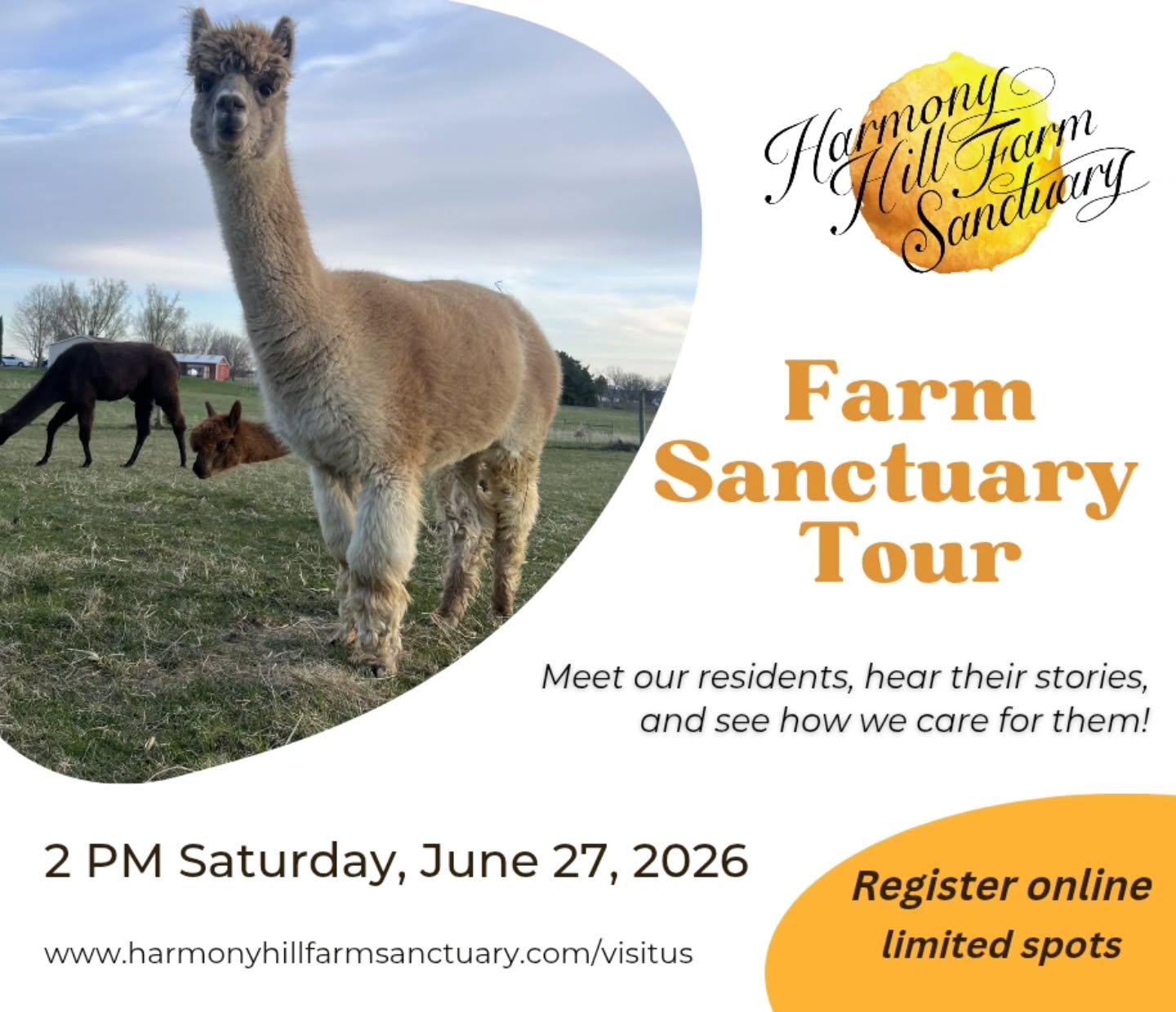 Spend precious time with Dad this Father's Day! Join us for our upcoming sanctuary tour on Saturday, June 27.
Link in bio