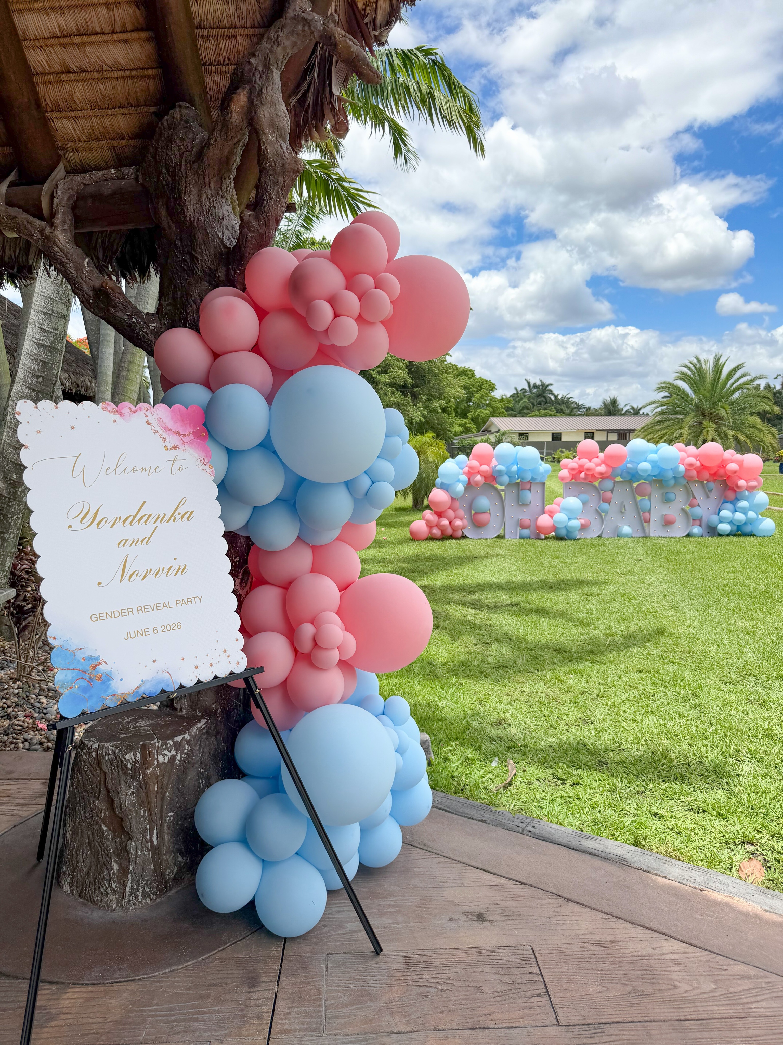 A beautiful entrance for a beautiful moment โจ Creating unforgettable first impressions for this special Gender Reveal celebration. ๐๐ฉท
.
.
.
#genderreveal #genderrevealideas #miamigenderreveal #genderrevealmiami #genderrevealdecorations
