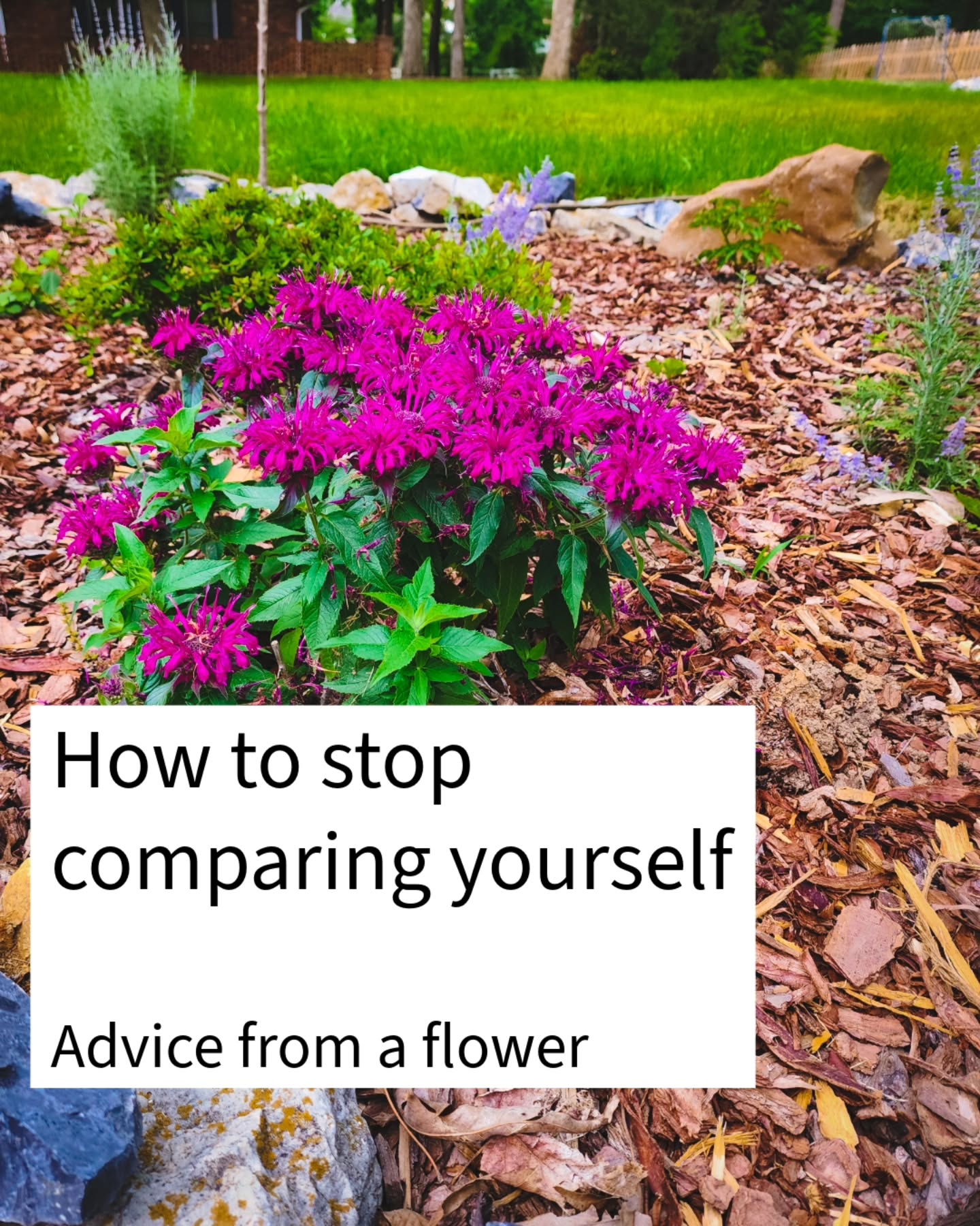 There is much to be learned from nature and flowers.🌷🌼🌸🌻🌺 Happy Thursday, friends!