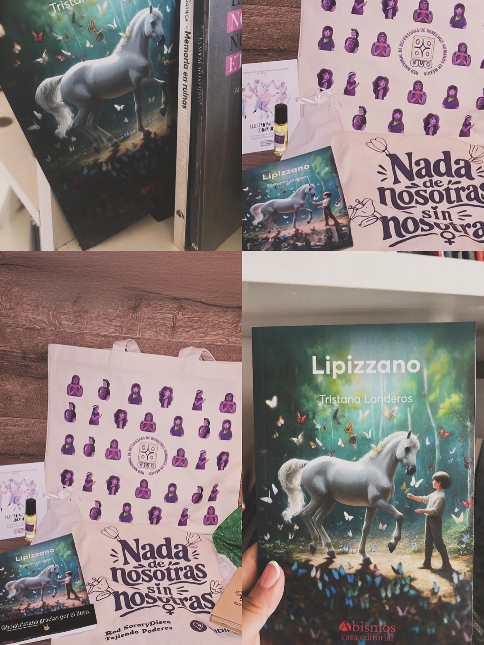 Lipizzano de Tristana Landeros @holatristana #Sorory Disca @cidip_a.c un libro sobre discapacidad y e infancia.