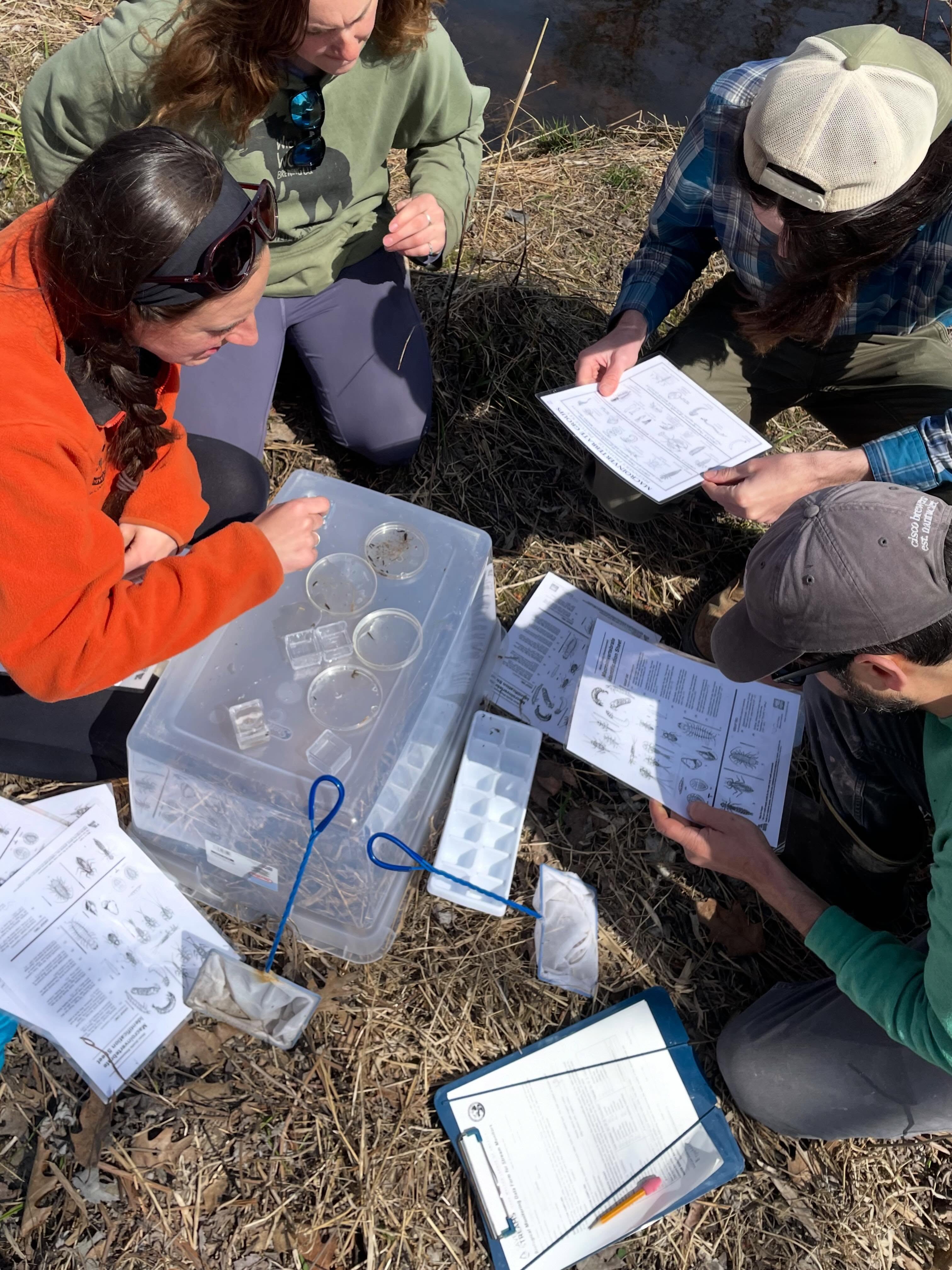 What’s living in the river? Come find out this Saturday, June 20 at our stream side assessment workshop with biologist John Tipping! 🪲🐟
At this community science event, we’ll use rock bags, dip nets, and other tools to get up close with insects and other macroinvertebrates living in the St. George River.
Appleton Preserve is a special place along the river, offering access to several different ecosystems. Wear boots (or sandals, conditions permitting!) and be prepared to get wet.
🔗 Visit georgesriver.org (link in our bio) to learn more and register! This event is free and open to all ages.
📸 These pictures feature some dragonfly larvae we discovered on the St. George River in Warren a few years ago!
#georgesriverlandtrust #communityscience #citizenscience #riverecology #river