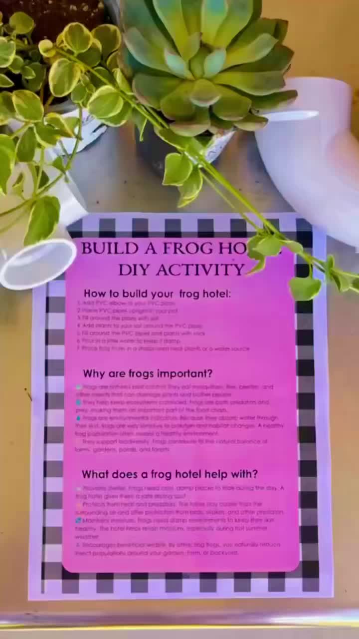🎨🐸🐦 Looking for a fun way to make memories with Dad this weekend? We’ve got a special event planned this 💙 Saturday, July 20th from 9am-3pm! Stop by our DIY Craft Stations and get creative together! From hands-on projects to unique take-home treasures, there’s something for kids and adults alike. No mess required, just quality time and memories made. 💗
Choose your favorite activity:
🐸 Create a Frog Farm Haven – ($30) Build a welcoming habitat for local frogs and learn how these amazing amphibians help our farms and gardens thrive. Includes all supplies and guided step-by-step instructions to create your own take-home frog haven.
🐦 Create a Seeded Birdhouse – ($20) Design a charming bird-friendly home using an unfinished wooden birdhouse, birdseed, and all the supplies needed to make it your own. A fun activity for all ages!
🖌️ Rock Painting with Happy Heart Creations – ($10) Transform an ordinary rock into a one-of-a-kind masterpiece! Choose from a variety of colors & designs to create a special keepsake to take home.
✨ Special Event Bundle: Do all THREE activities for $50 and save!
Bring Dad, bring the family, and enjoy a day filled with creativity, laughter, and farm fun. We can’t wait to see what you create! 🩷🌻