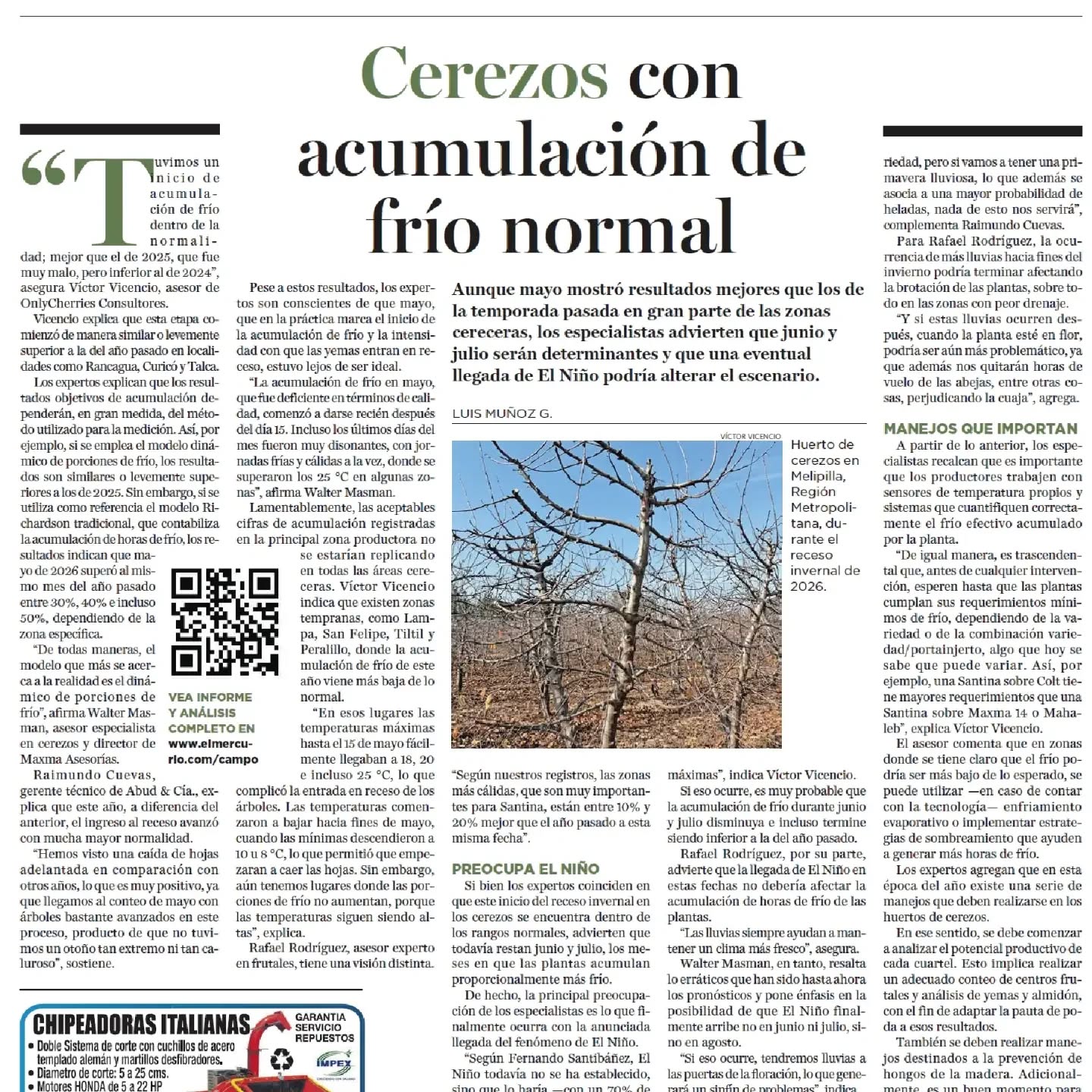 🍒 Acumulación de frío dentro de lo normal para los cerezos
Según Víctor Vicencio, asesor de OnlyCherries Consultores, la acumulación de frío de esta temporada muestra resultados mejores que los observados en 2025, con un receso invernal más normal y niveles de frío superiores a los del año pasado en gran parte de las zonas productoras.
⚠️ Sin embargo, advierte que junio y julio serán determinantes para completar los requerimientos de frío, especialmente en sectores tempranos donde los registros aún están por debajo de lo esperado.
Agradecemos a la Revista del Campo de El Mercurio por la entrevista y el espacio para compartir este análisis.
📖 Revisa el artículo completo en www.onlycherries.cl
#OnlyCherries #Cerezas #Fruticultura #AcumulaciónDeFrío #CherryGrowing 🍒