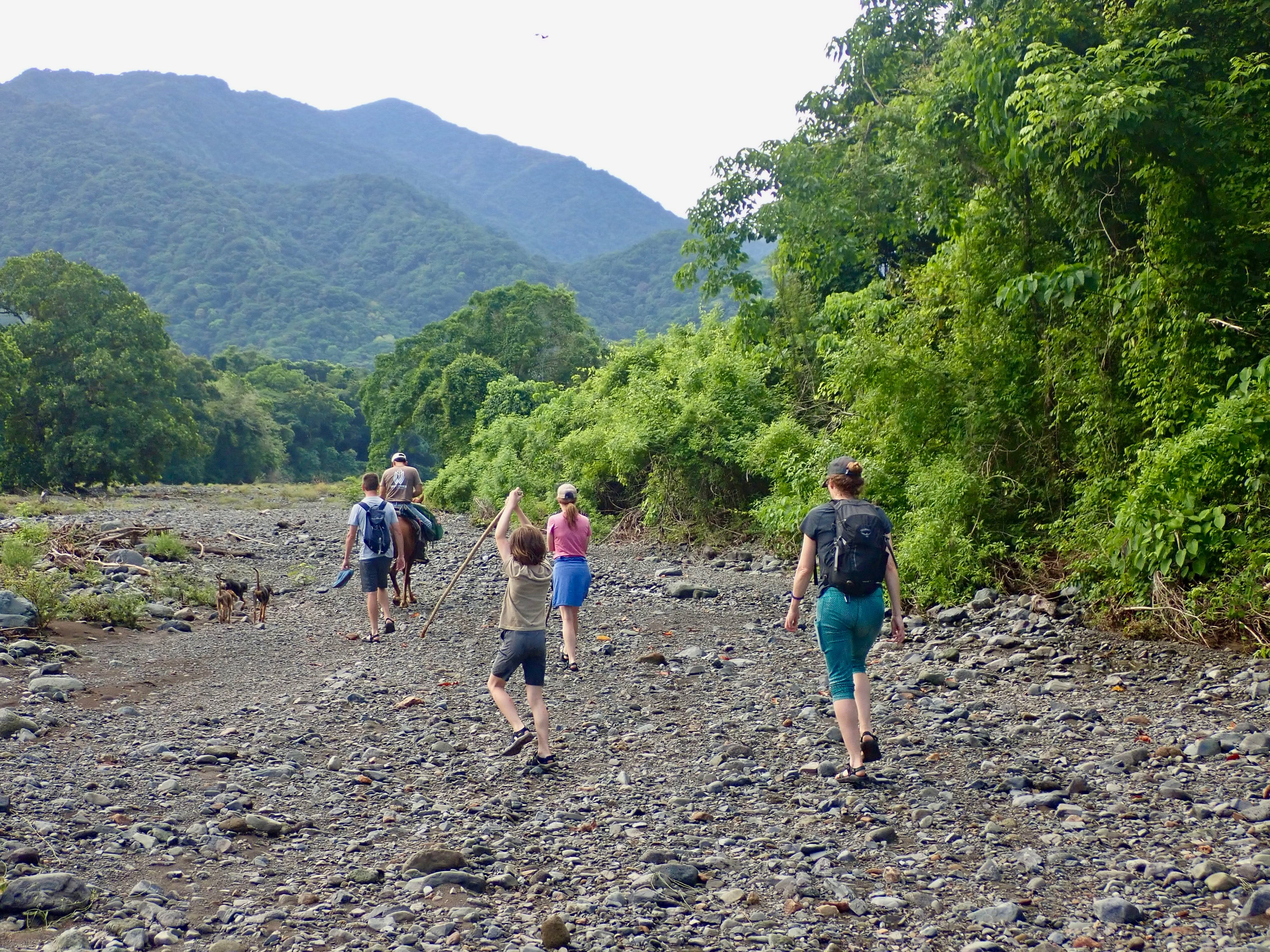 Cerro Hoyas National Park: our full-day adventure exploring some of the most beautiful waterfalls around. Hike through lush trails, cool off in crystal-clear pools, search for rare and exotic birds, or simply have fun with loved ones.
Whether you’re looking for a quick escape or a full day outdoors, we’ve got the perfect adventure waiting for you!
https://www.morrillobeachresort.com/waterfalls
#Morrillo #AdventureTraveler #AdventurePanama #PanamaCulture #PanamaLife #EcoTraveller #ConservationTravel #ConservationTraveller #Regenerate #BestOfTheBest
#RegenerativeTravel #RegenerativeTourism #TravelBetter
#SustainableTravels #EcoTourGuide #SurfingLife
#AdventureTravelers #AdventureTraveller #AdventureTraveling
#AdventureTravelFamily #AdventureTravelFamily #FamilyTravelAdventures #FamilyTravelAdventure #AdventurePanama