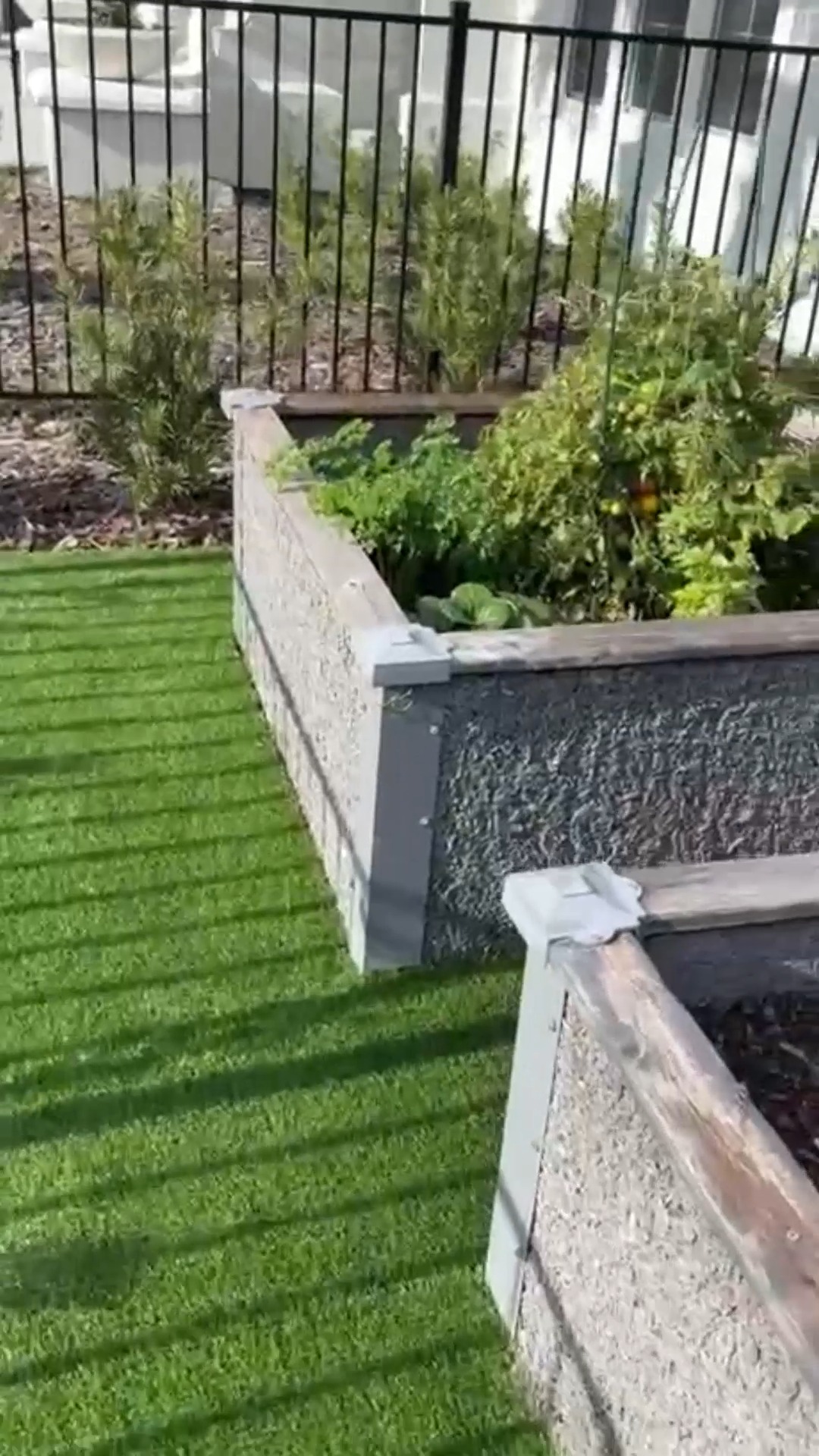 Artificial grass creates outdoor spaces that feel fresh, intentional and visually complete from every angle.
📍 Orlando, FL
#ArtificialGrass #OutdoorAesthetic #LandscapeDesign #ModernOutdoor #FloridaHomes #OutdoorSpaces