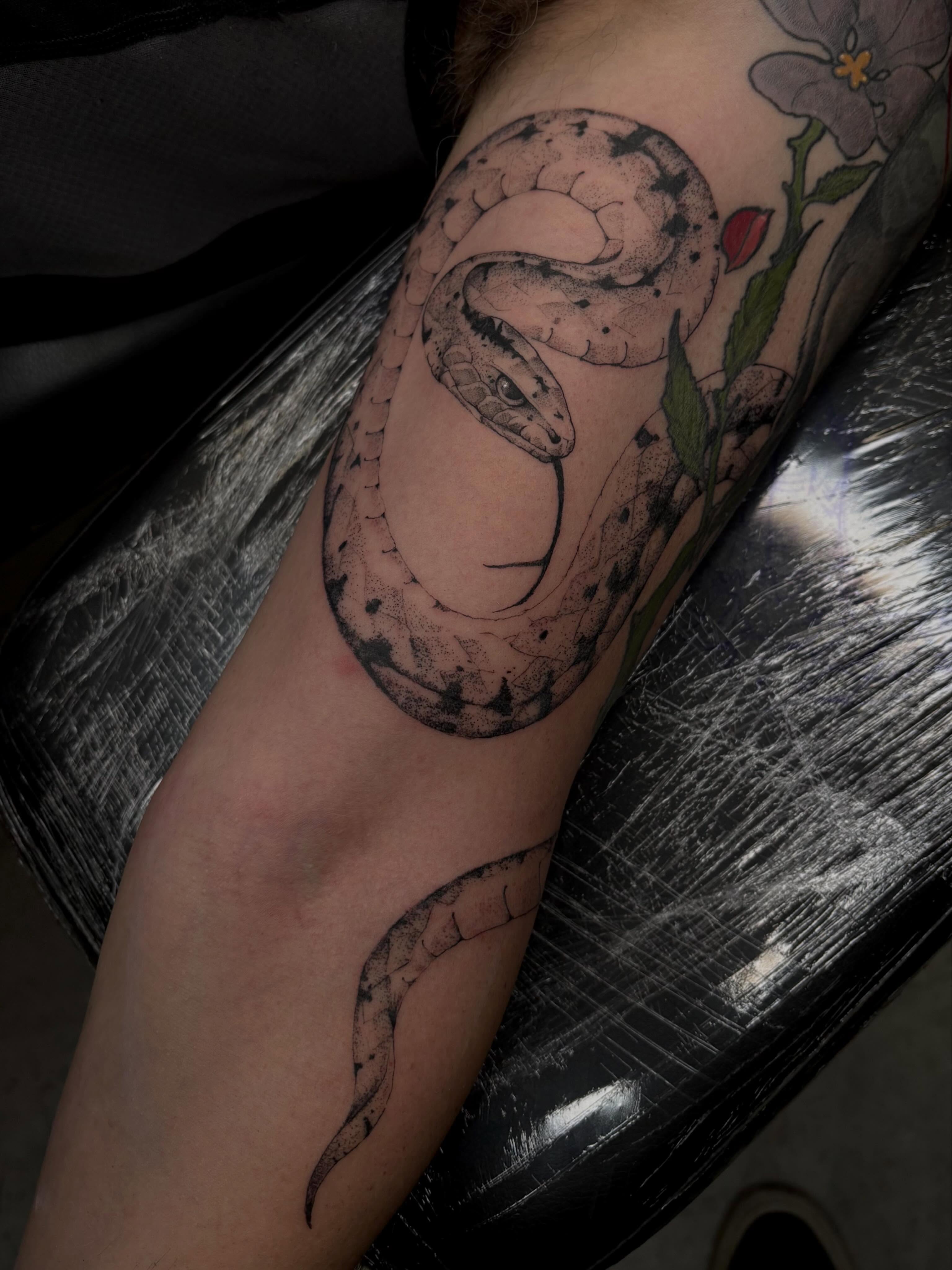 Some recent tattoos by @tattoosbylord #snaketattoos #traditionaltattoo #butterflytattoos