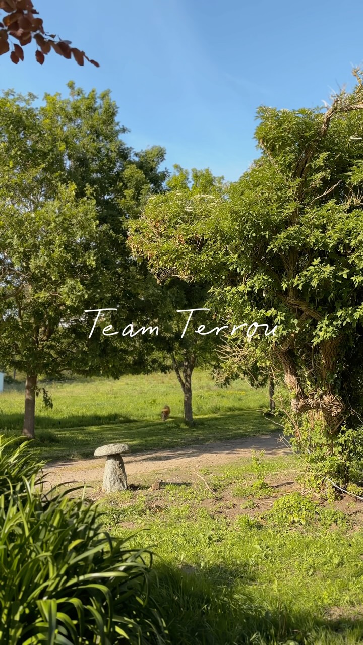 I don’t have a favourite place. I have my favourite people.
Terrou may be our work, but we’re the reason behind it all. Thank you for supporting a family, not just a company 🫶🏻
Team Terrou x
.
.
#FamilyRunBusiness
#BehindTheBusiness
#SupportSmallBusiness
#AntiqueDealer
#ShopSmallUK