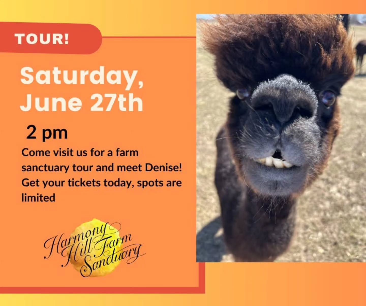 Link to tickets in our bio