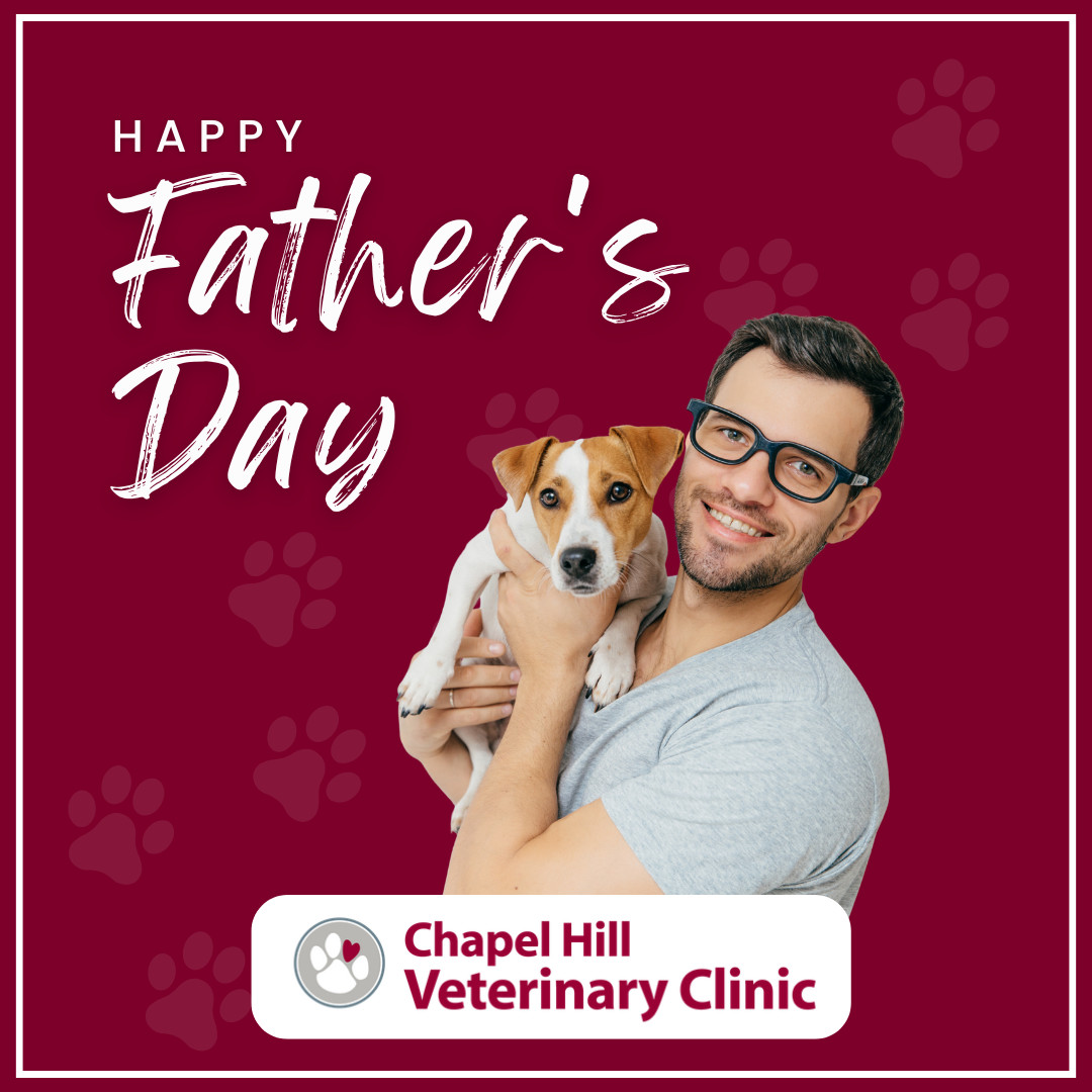 Happy Father’s Day to all the incredible pet dads! 🐾💙
From morning walks to cozy night-time snuggles, the care you give your pets means everything.
At Chapel Hill Veterinary Clinic, we love celebrating the special bond you share with your furry companions.
🐶🐱 Be sure to give your pet dad some extra tail wags and purrs today!