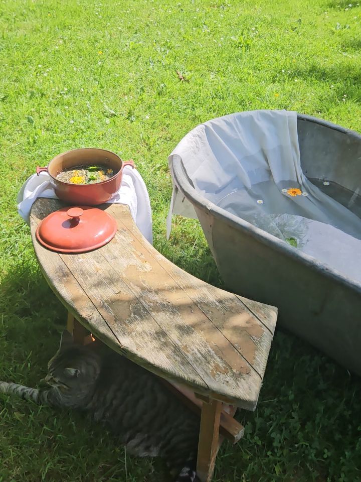BAINS RITUELS AUX PLANTES GUERISSEUSES.
Je travaille actuellement sur un très beau projet, confié par Delphie @pommenaturegitespa
Ensemble, nous avons imaginé deux nouveaux protocoles de soins pour son lieu ressourçant et les massages qu'elle offre.
Nous combinons ainsi nos savoir-faire du toucher, de l'energie et des plantes guerisseuses.
Pour elle, je crée des synergie et des assemblages de plantes soutenant l'energie et l'emotionnel.
Après les avoir élaboré puis testées, mes precieuses recettes de bains aux plantes, d'essences pour l'olfactotherapie et mes brumes de purification energétique apporteront leur magie en vos corps, les délicates mains de Delphie feront le reste.
---
#Soins #rituels #plantesmedicinales pour #PommeNature (gîte et spa) en #Normandie.